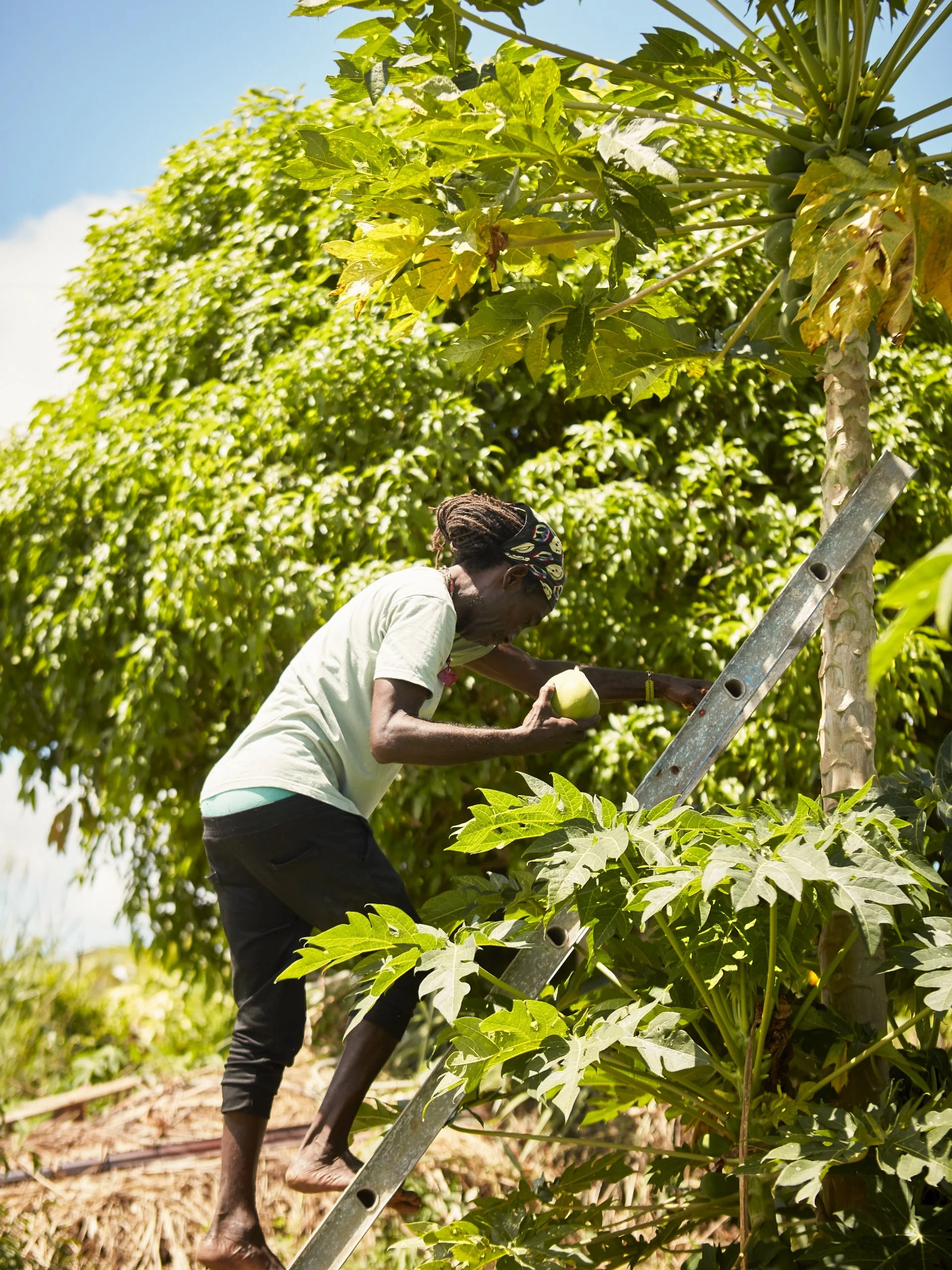 10.16.24_FT_Barbados_D2_359 1.jpg