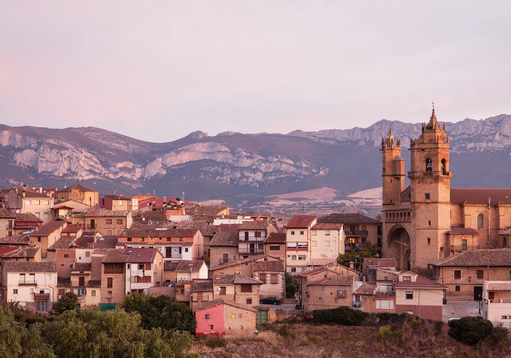 Rioja Harvest ~ Lonely Planet Traveller