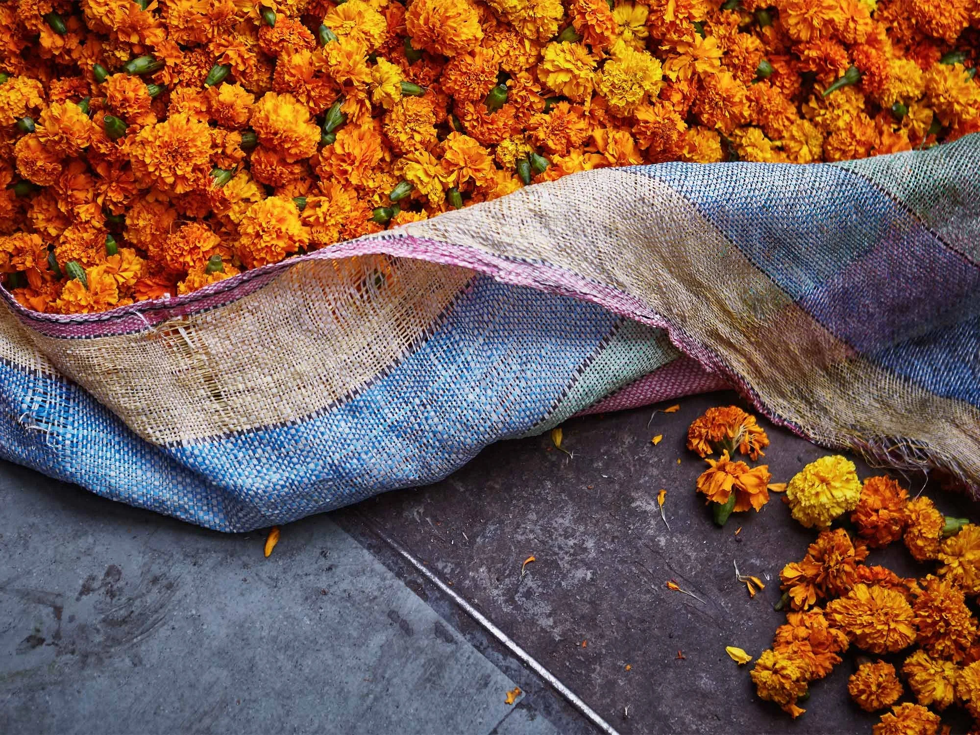 India ~ Octopus Books