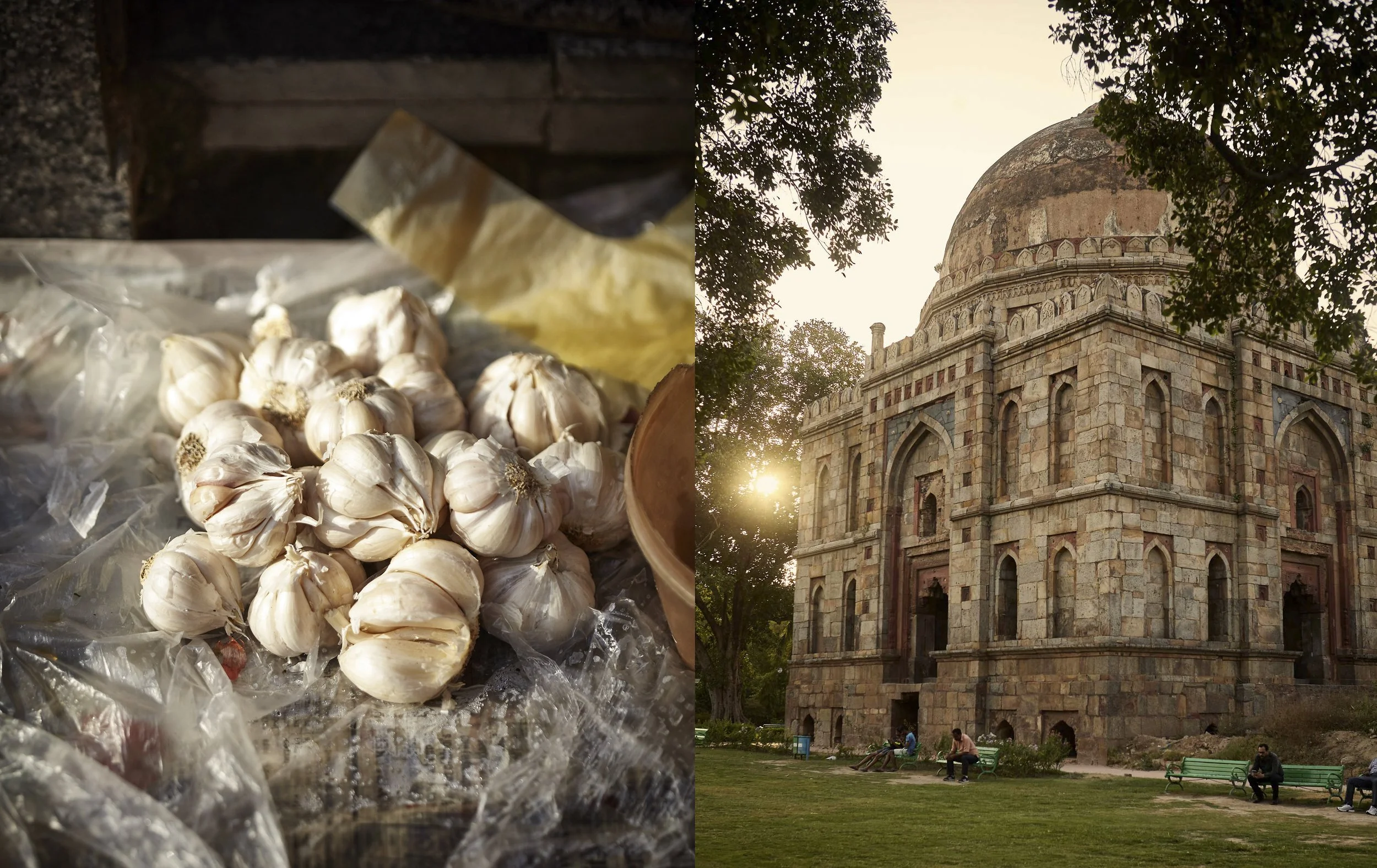 chetna_vegetarian_cover2 copya copyn.jpg