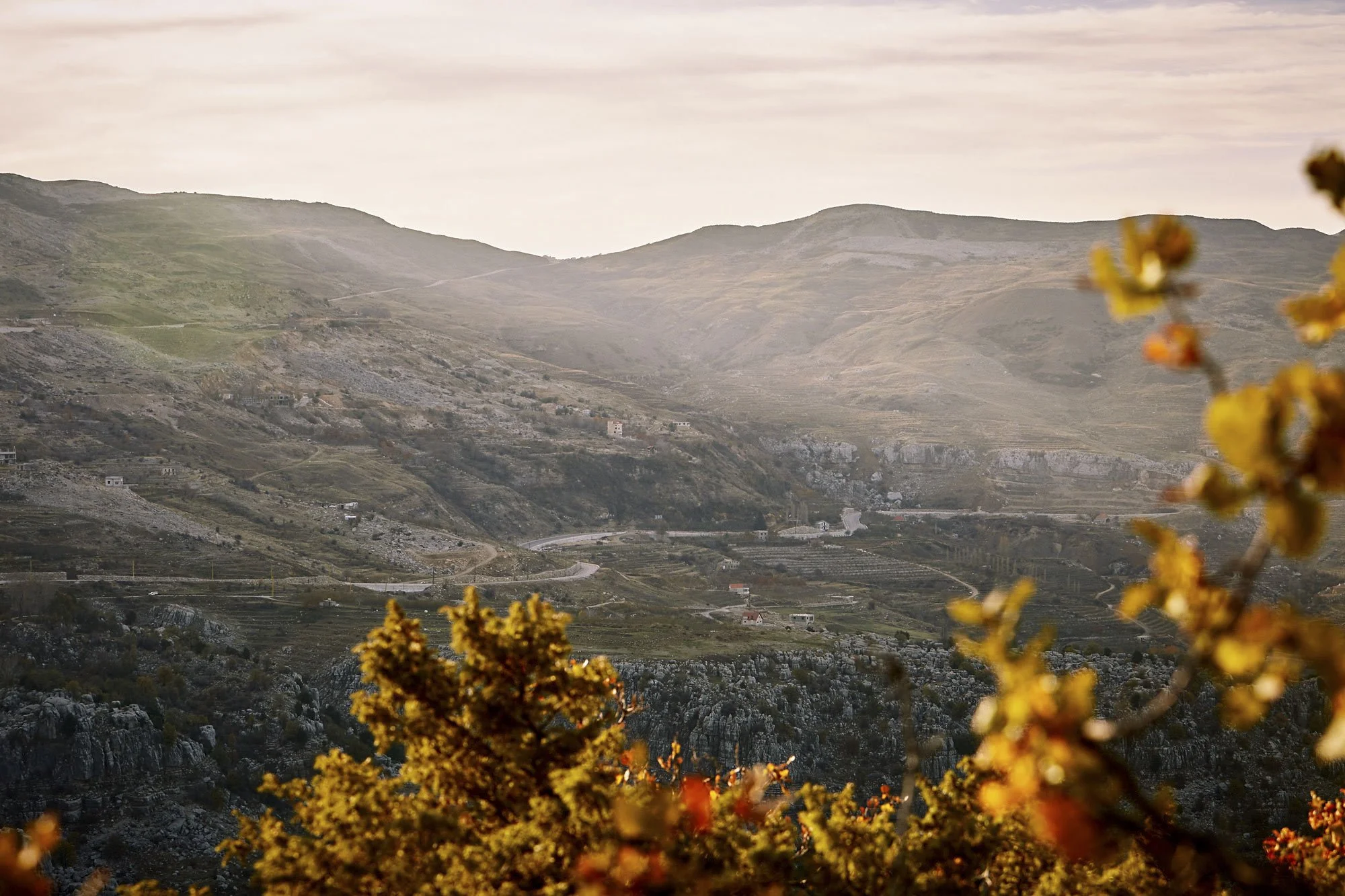 Lebanon ~ Hardie Grant Books