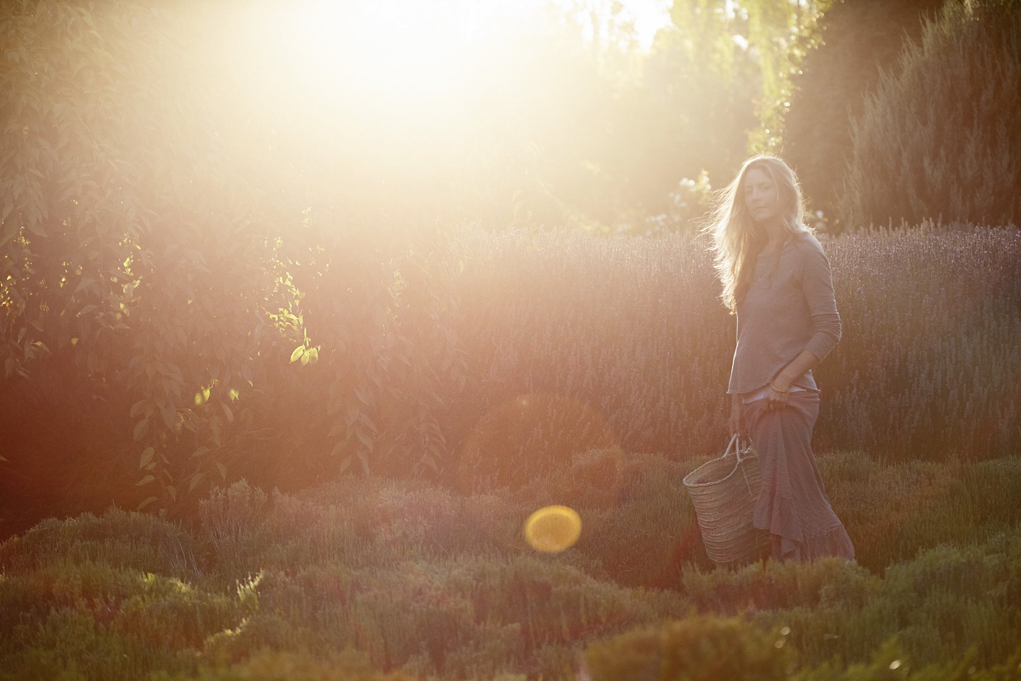 The Wholefood Kitchen ~ Amber Rose ~ KYLE BOOKS