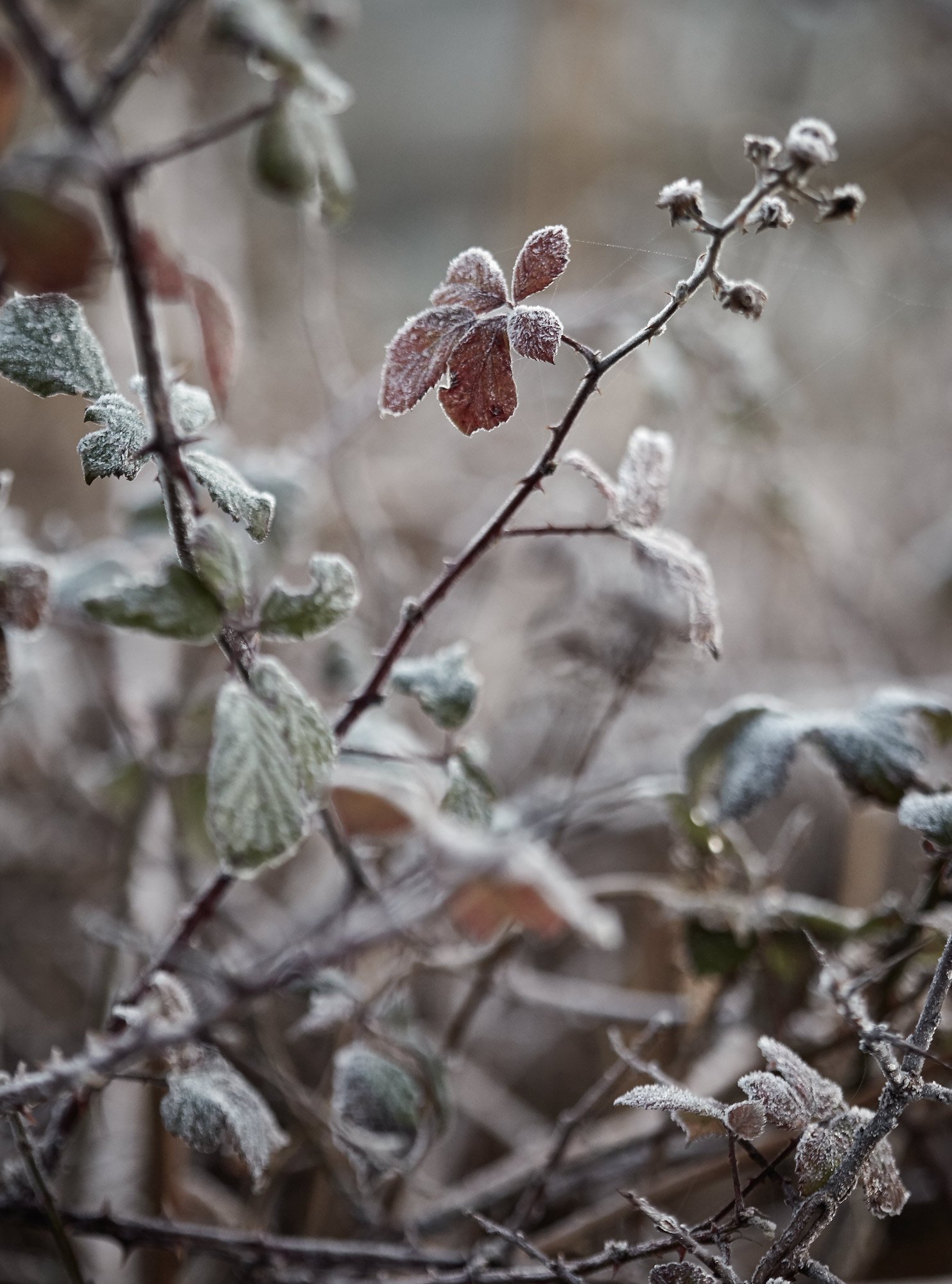 02.06.23_WinterWellness_D1_060.jpg