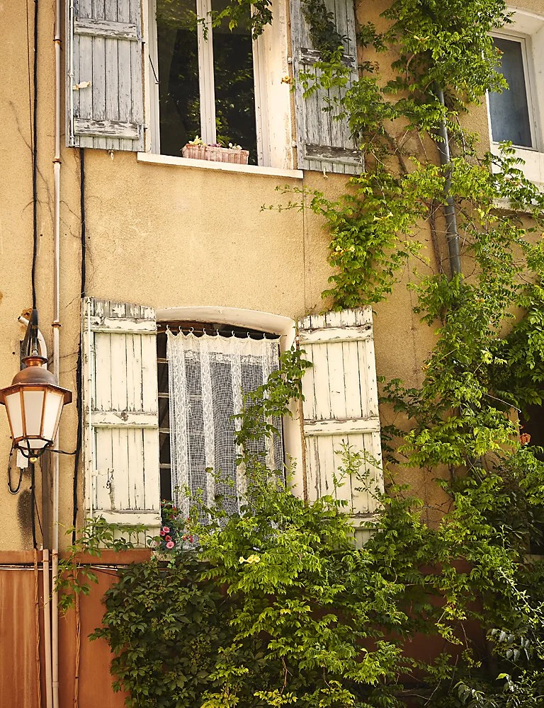 Provence ~  Quadrille