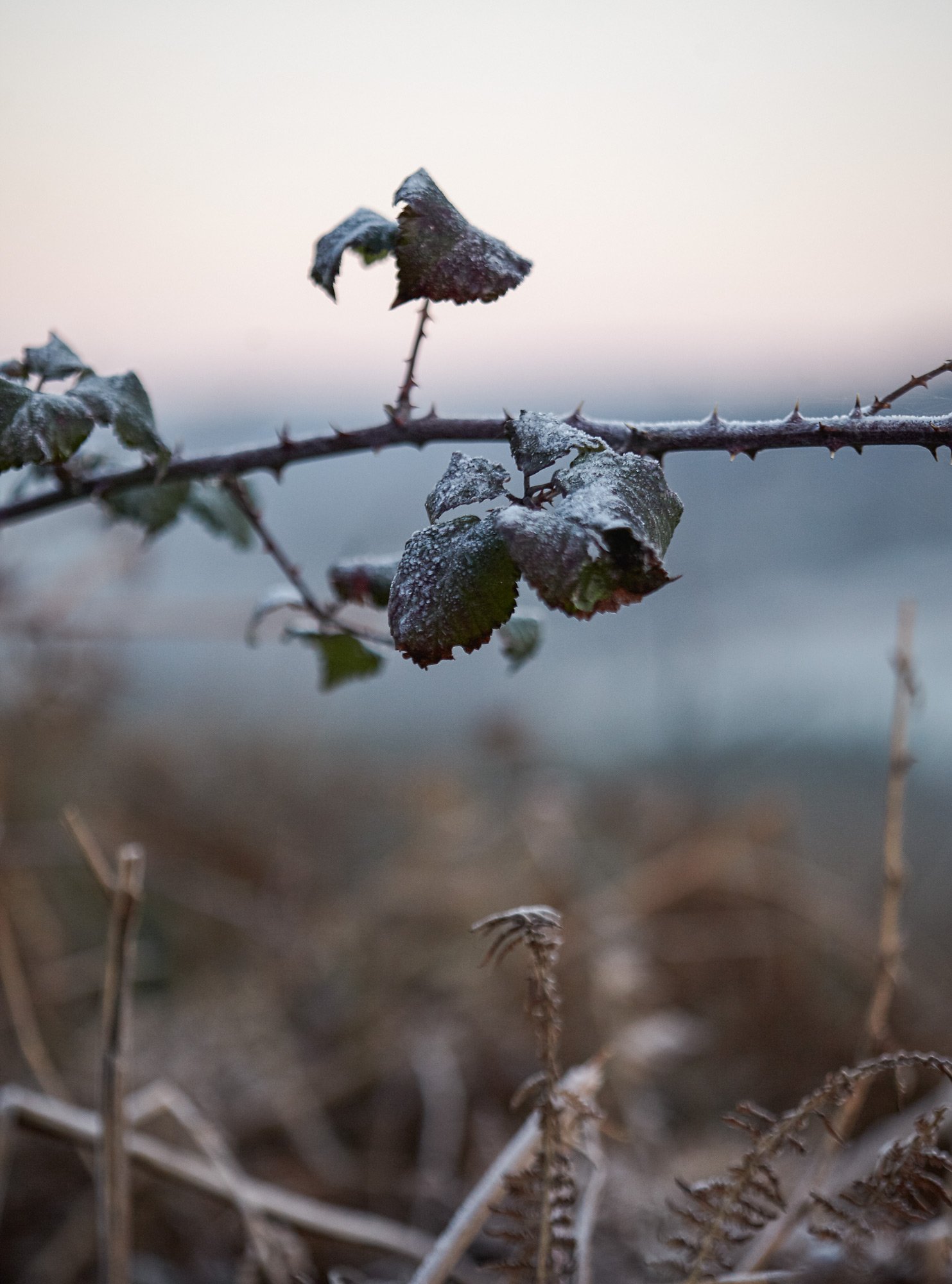 02.06.23_WinterWellness_D1_040.jpg