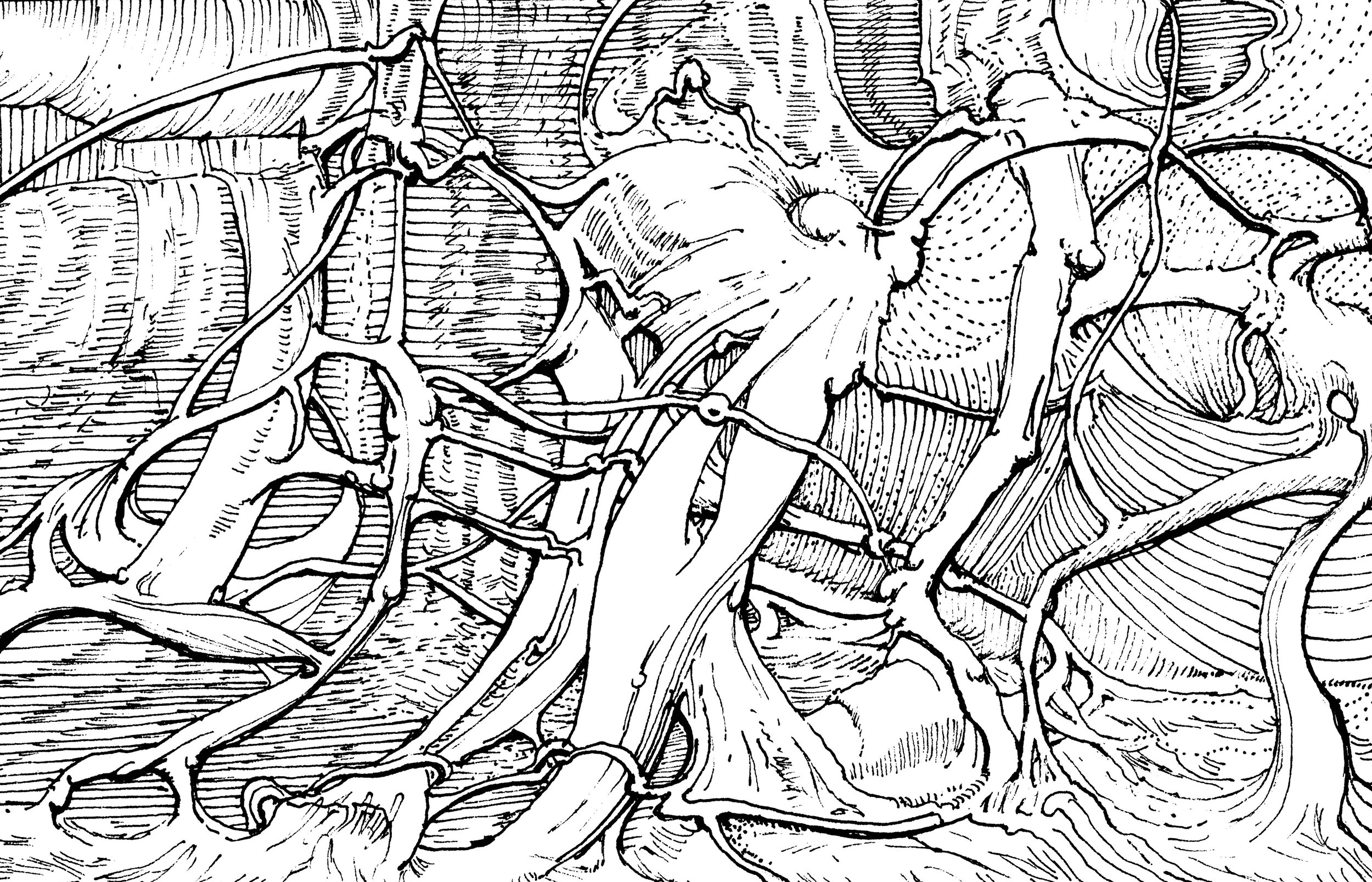 Imagefile1.jpg.jpg