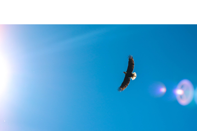 NYU Wagner Philanthropy Panel Discussion: Decolonizing Philanthropy: An Obligation to Do Better