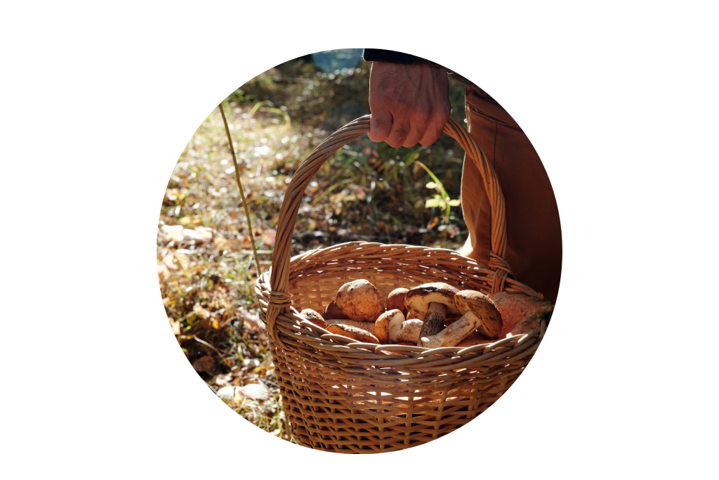 What We Carry Forward