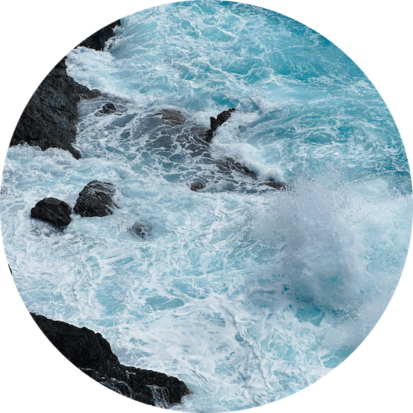 Living Our Values: Adapting &amp; Iterating in Tumultuous Times