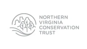 Roxanne Bradley-Tate | Northern Trust