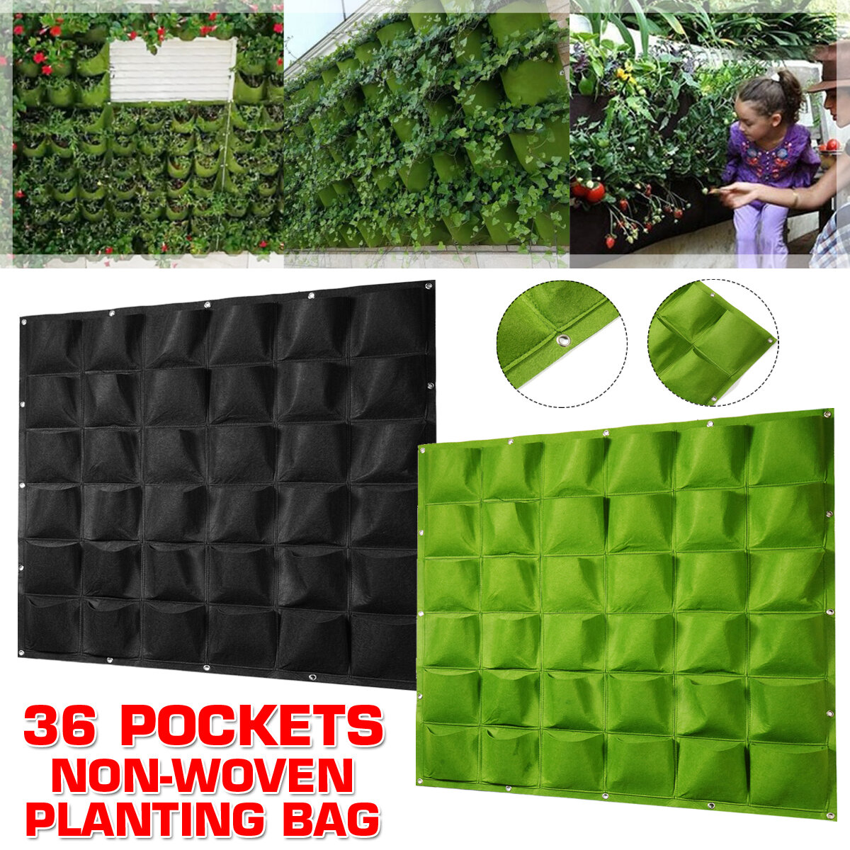 81347f25-0984-4e1a-8da3-3bec873c355d.b408170303aecd09f1cdd91d33b4c394.jpeg