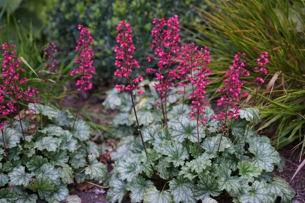 P2396_1-1024x683.webp