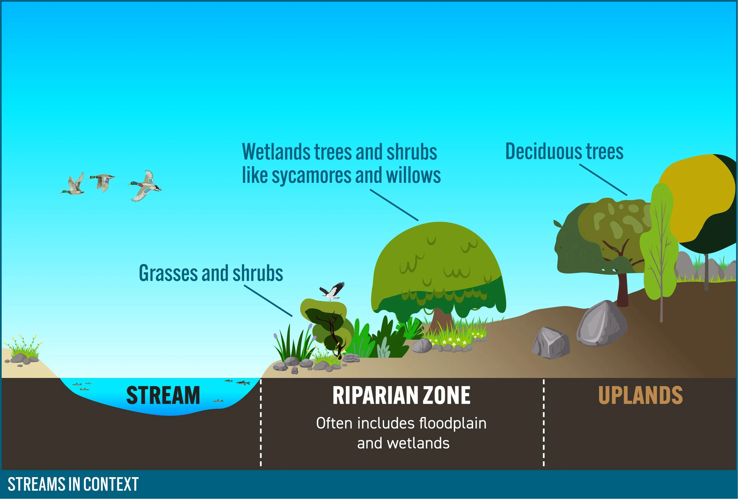 Client Highlight: Chesapeake Watershed Restoration Professionals