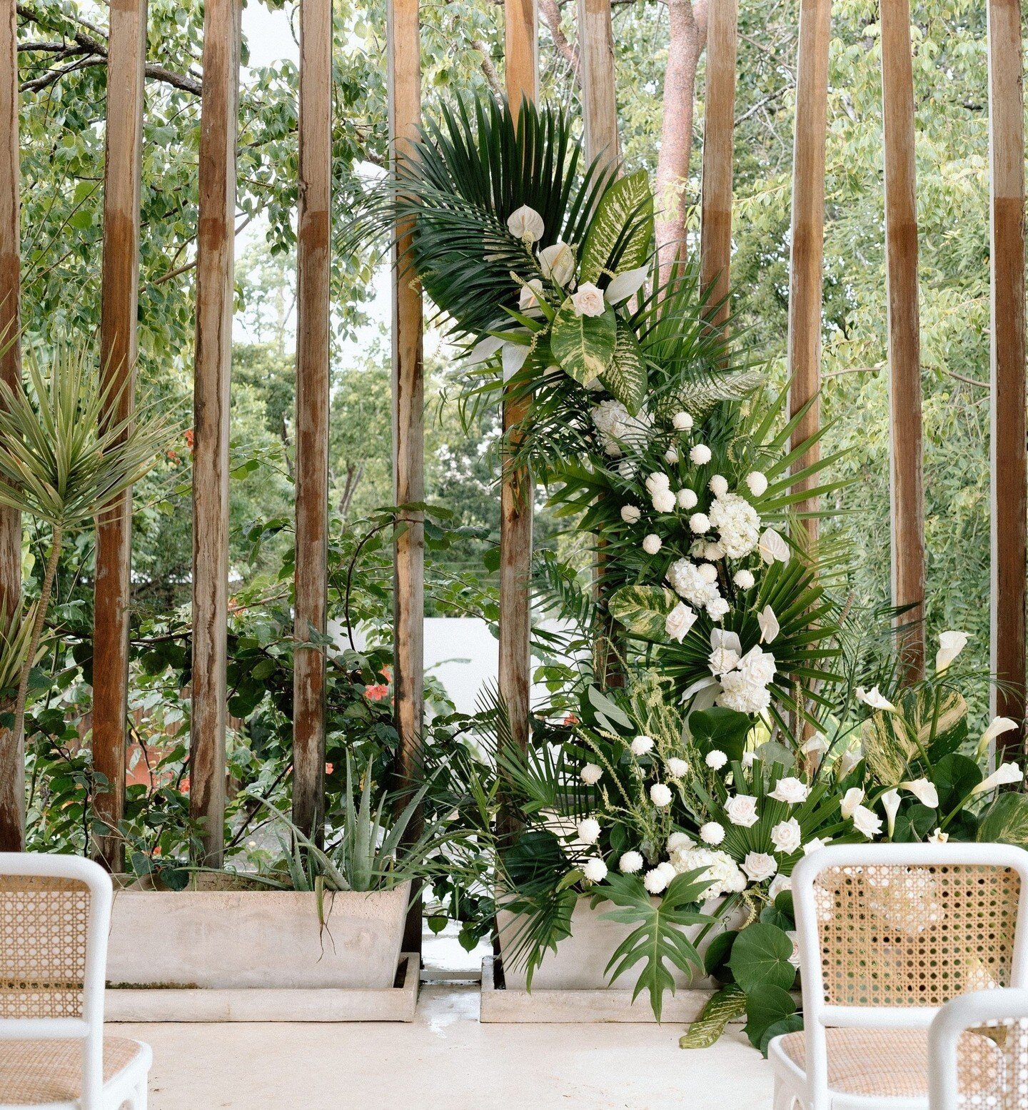 Tropical elegance 🤍⁠
⁠
Photographer: @emilyvandeheyphotography⁠
Venue: @hacienda21tulum⁠
Planner + Designer: @nicolelezadesign⁠
Floral Designer: @breannajanebotanicals⁠
Makeup Artist: @coloradomua ⁠
Rentals: @archiverentals⁠
⁠
#tulumelopement #tulum