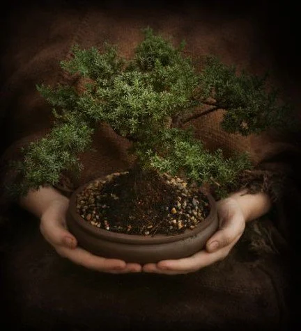 Cultivating Family Harmony with Feng Shui