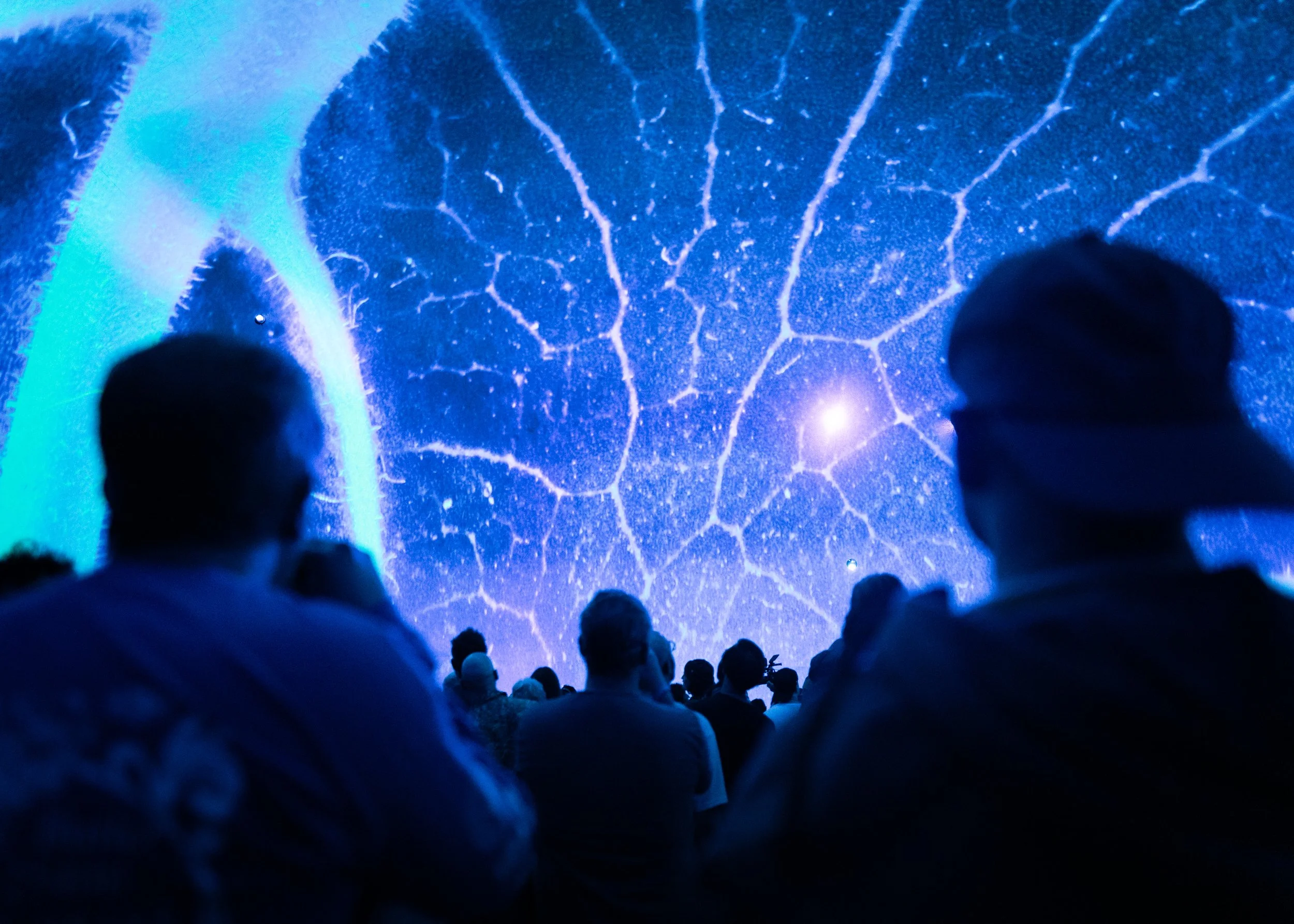 MUTEK27_20260829_HermanosRiffoGomez_Credit_NinaGibelinSouchon_04502.jpg