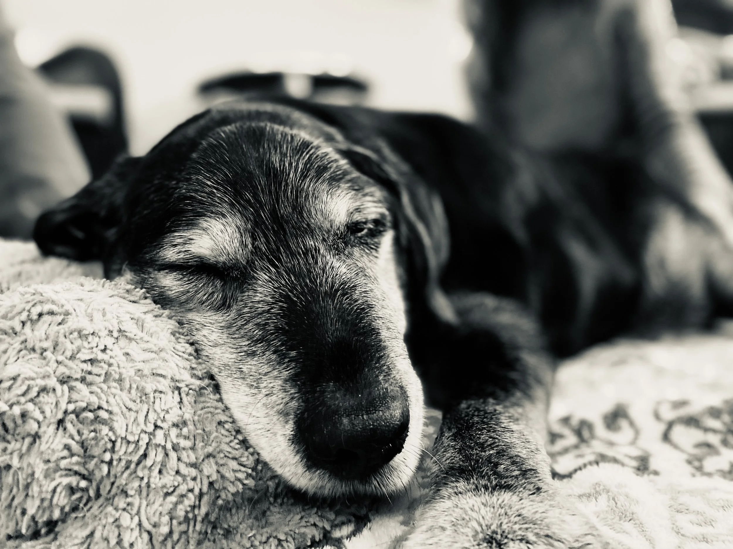 sleepy.jpg