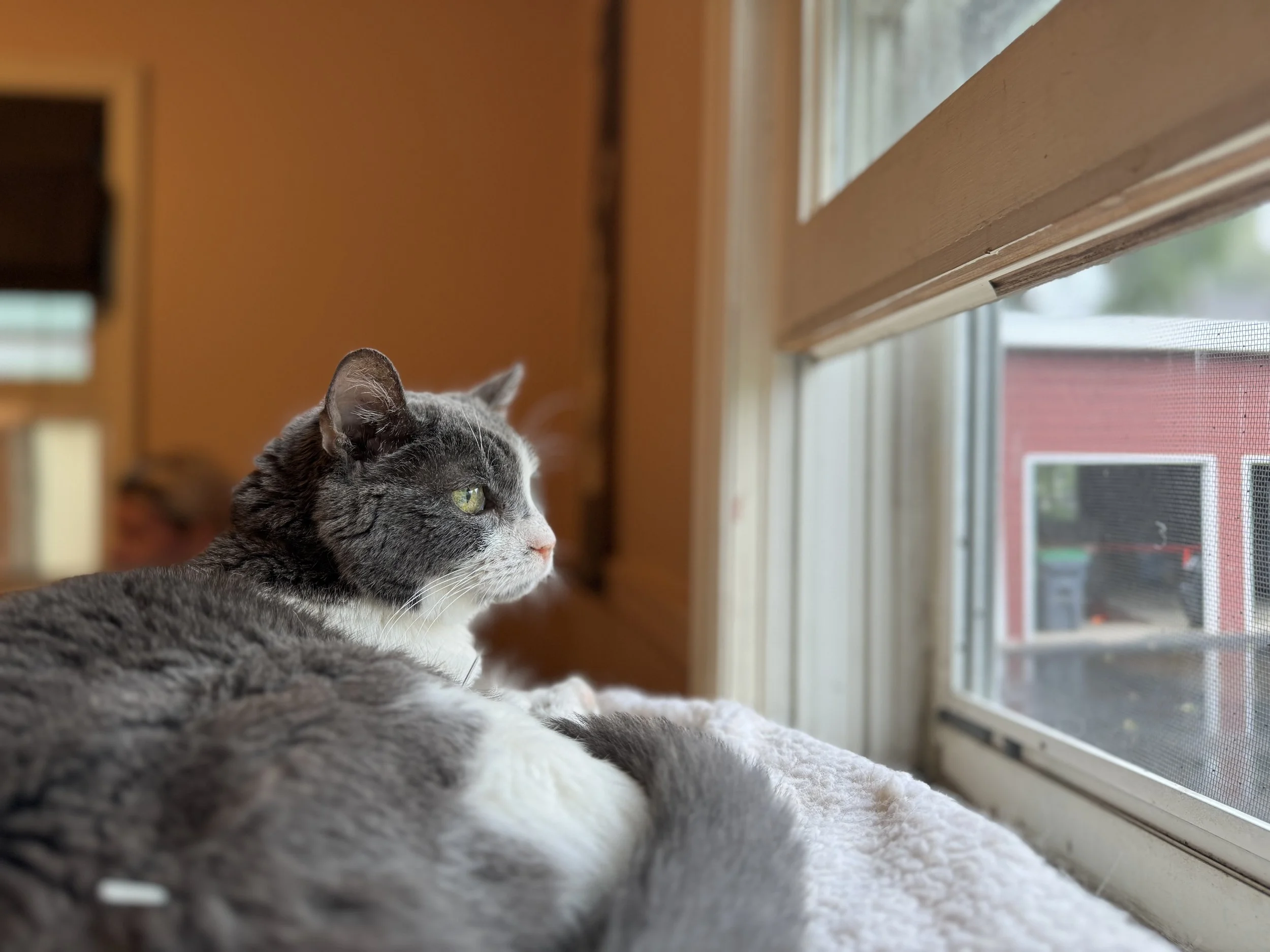 old girl.jpg