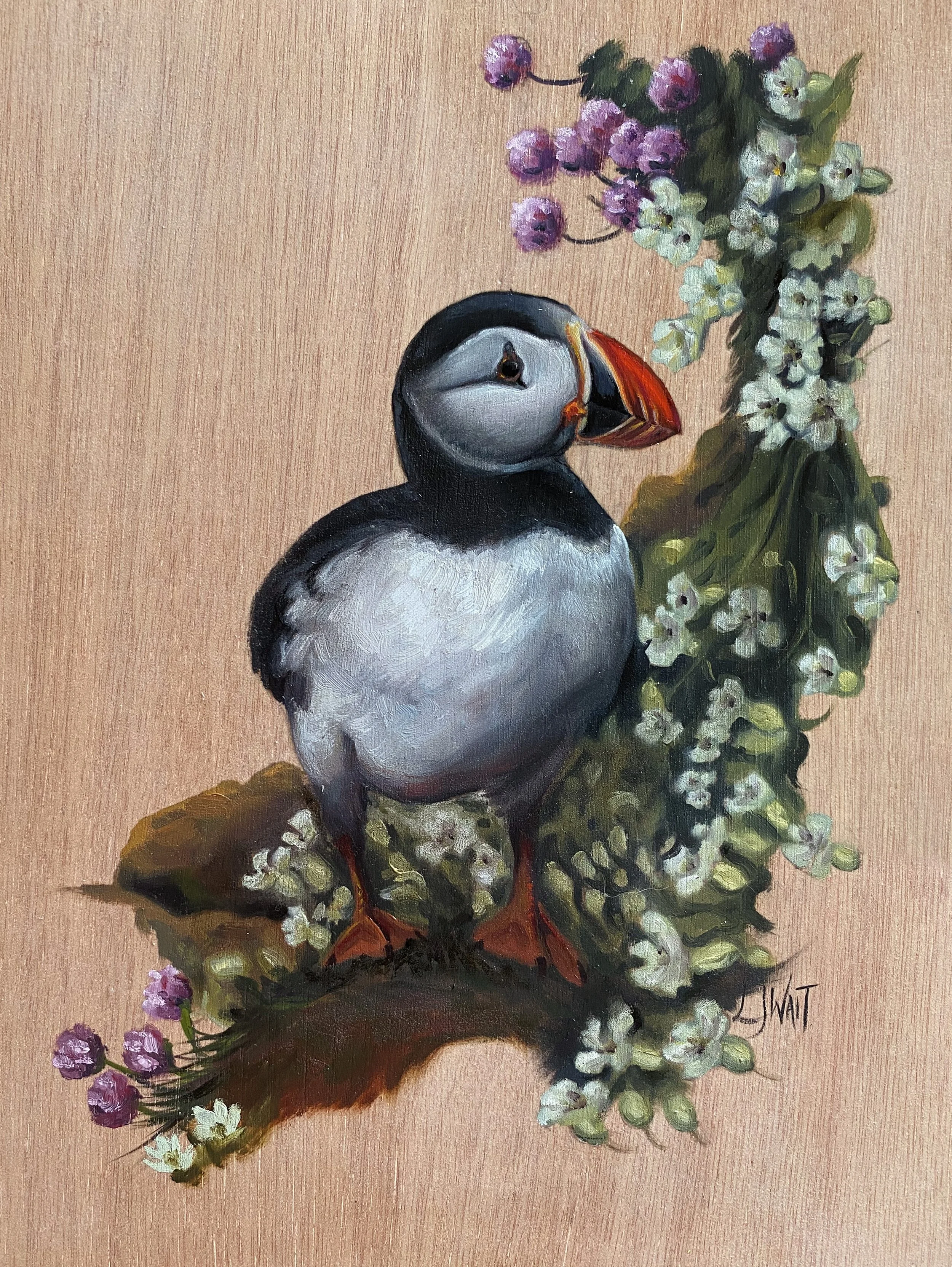 Puffin-  Oil on wood panel 23x30cm Framed      £225 