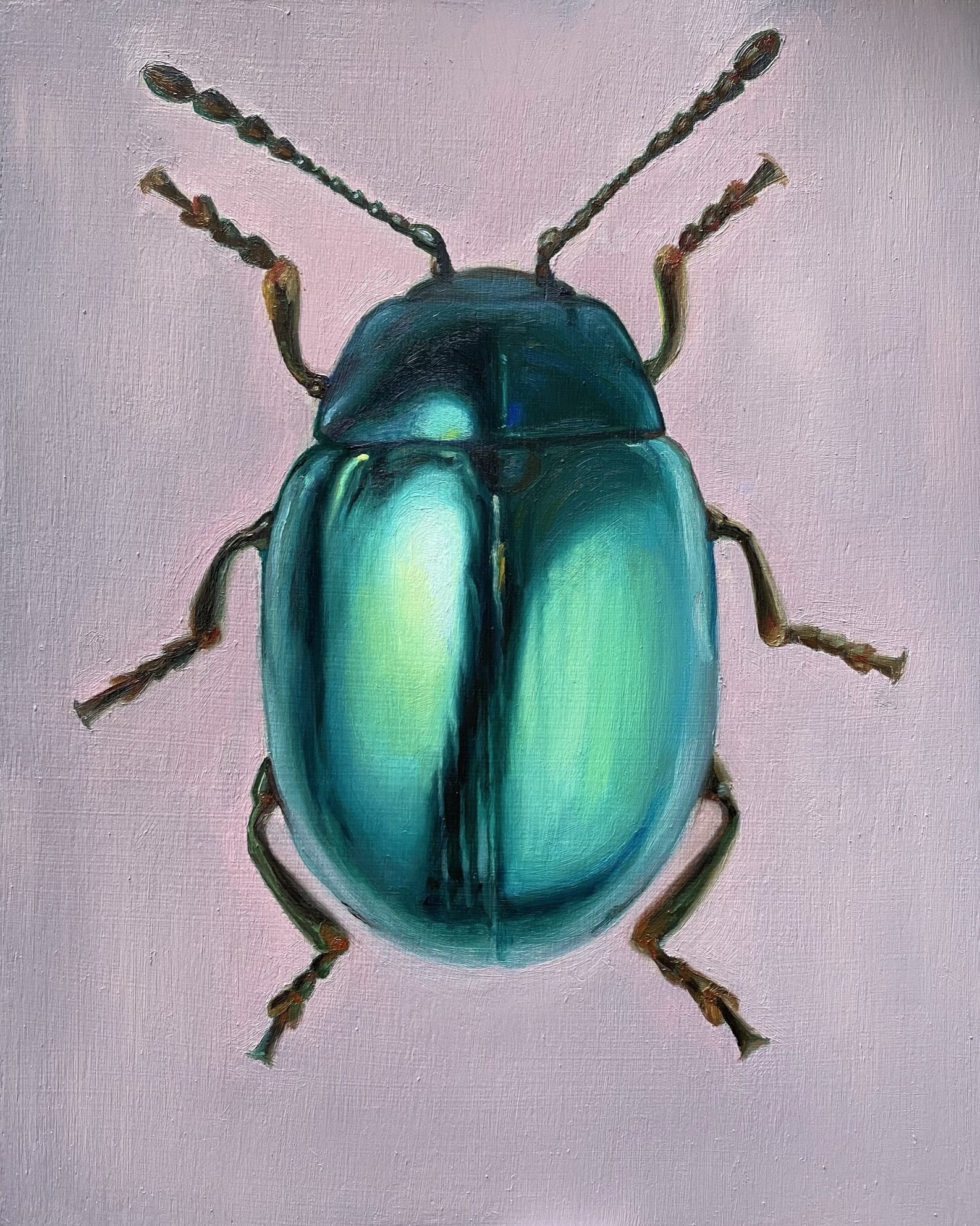 Scarab Cerulean Blue - Oil on panel 20x25cm     £195
