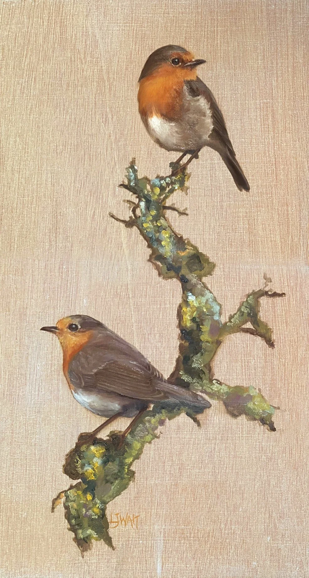 Pair of Robins -  Oil on wood panel 18x33cm Framed      £325 