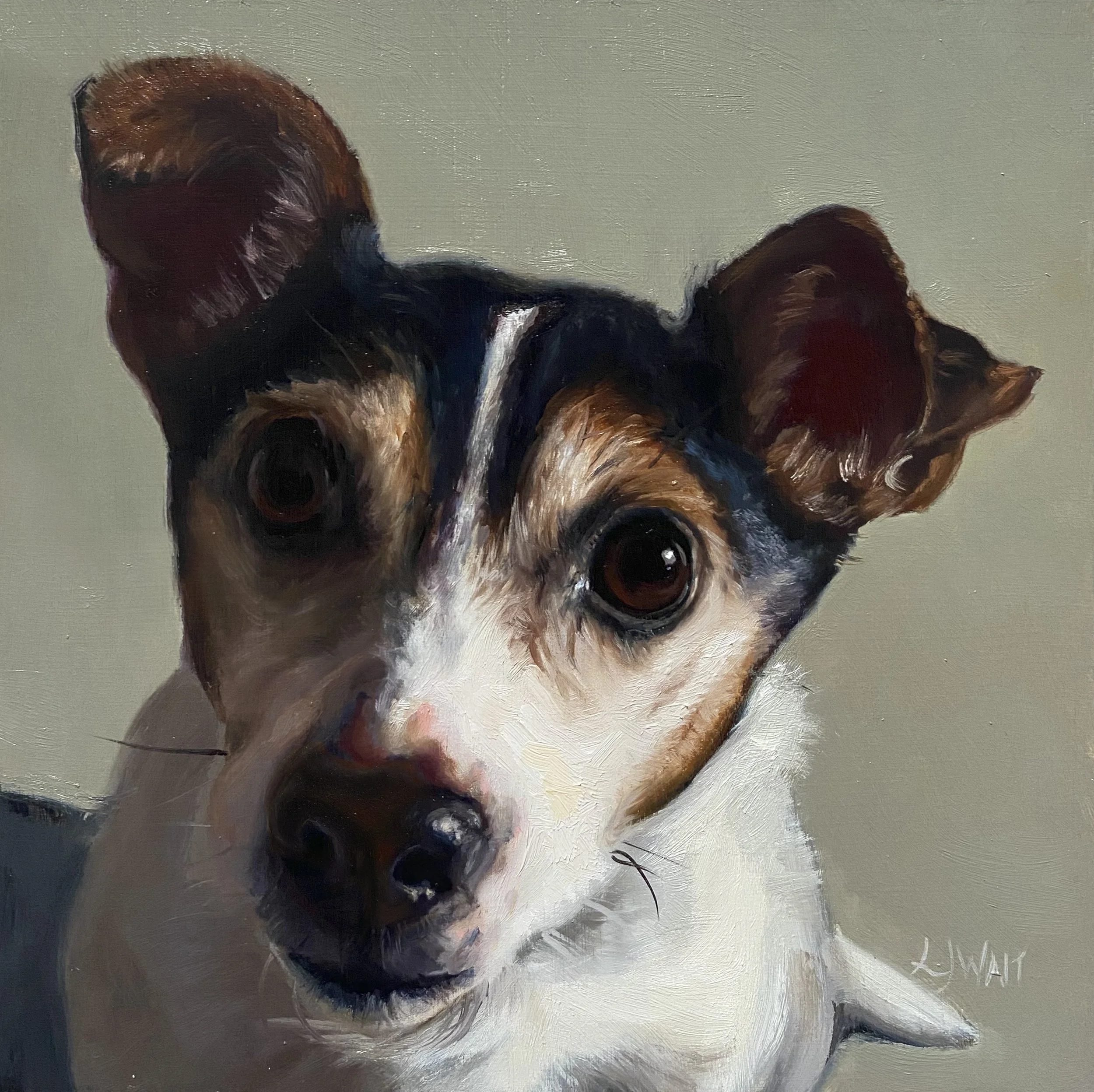 Buster - 20x20cm commission