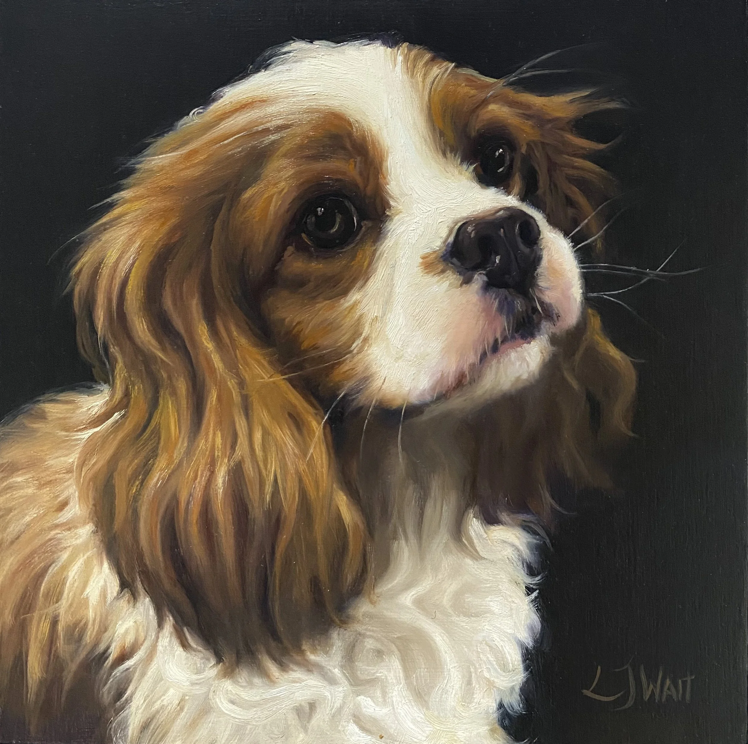 Pickles - 20x20cm Oil on panel
