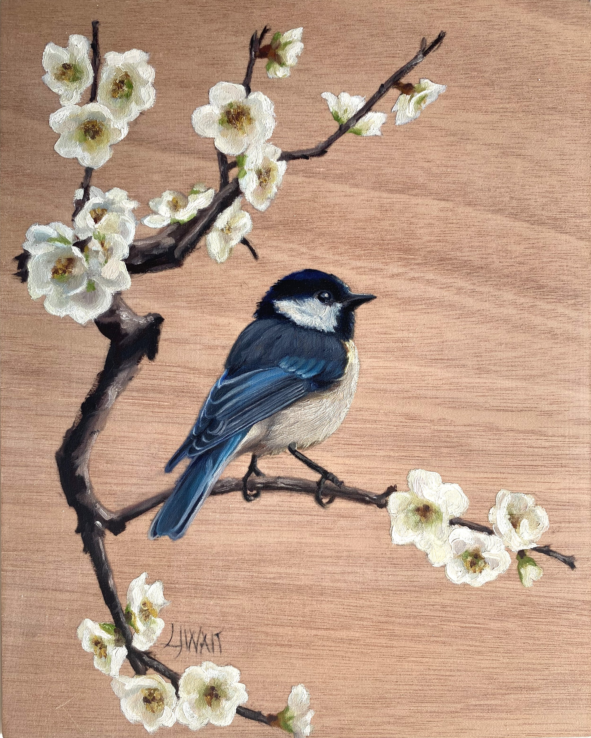 Coal Tit on Blossom -  Oil on wood panel 20x25cm Framed      £225 