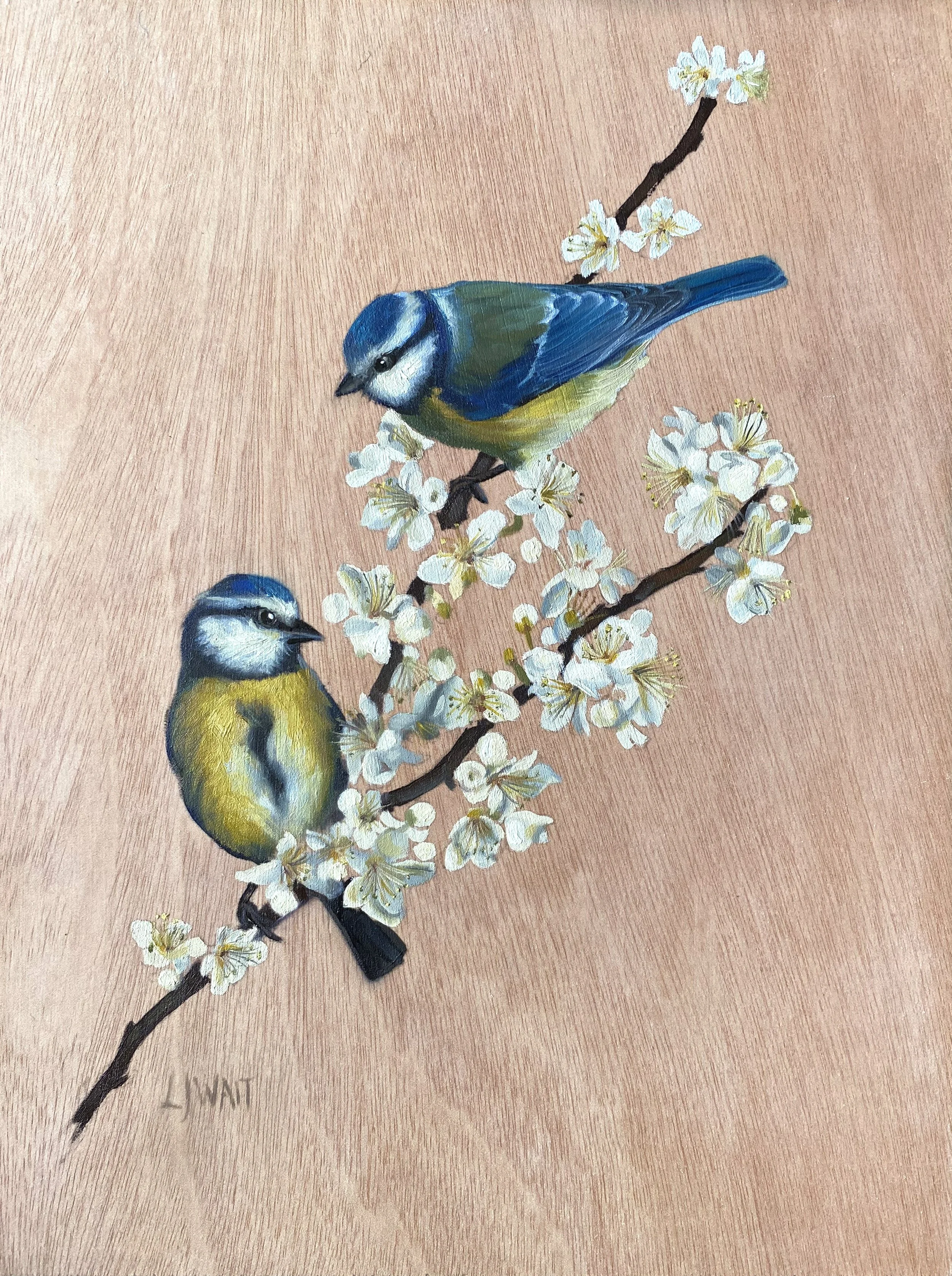 2 Bluetits LJW.jpg