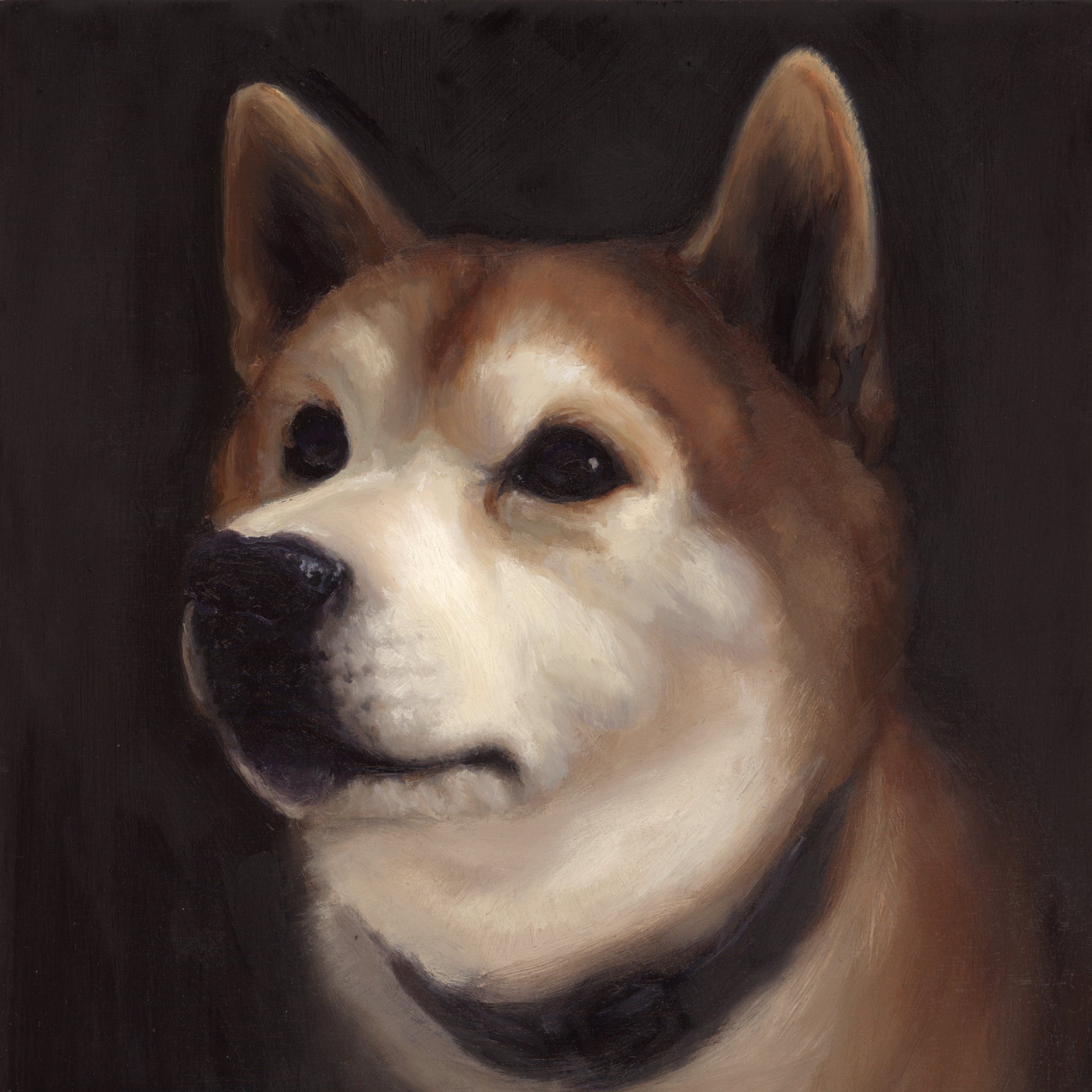 Loki - 20x20cm Oil on panel