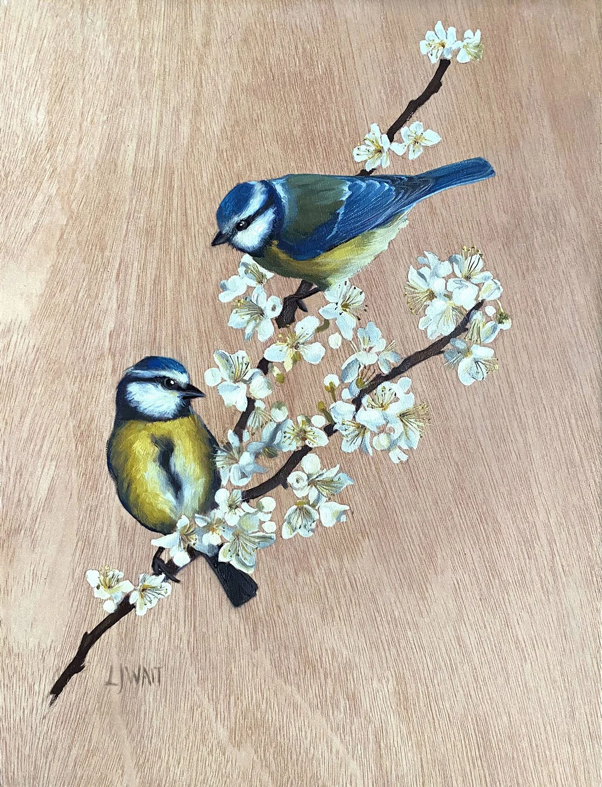 Pair of Bluetits -  Oil on wood panel 23x30cm Framed     £325 