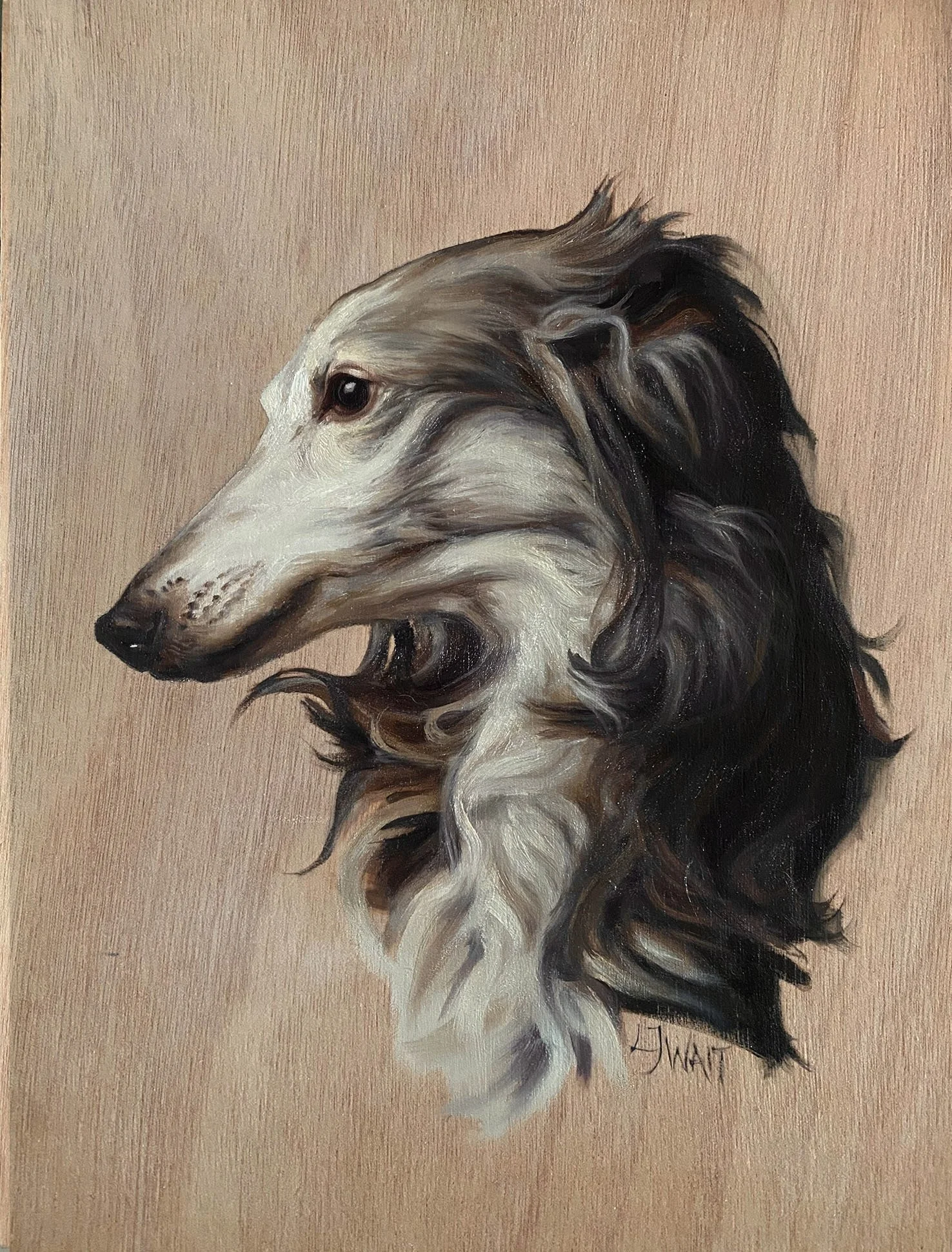 Saluki -  Oil on wood panel 23x30cm Framed      £350 