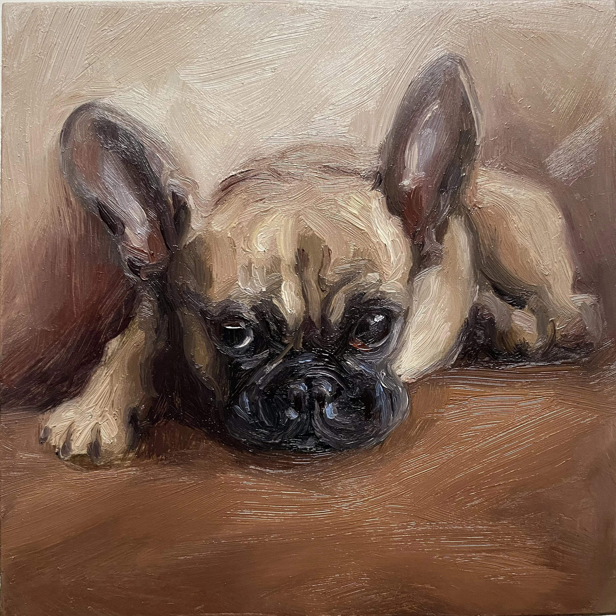 French Bulldog -  Oil on panel 10x10cm       £120