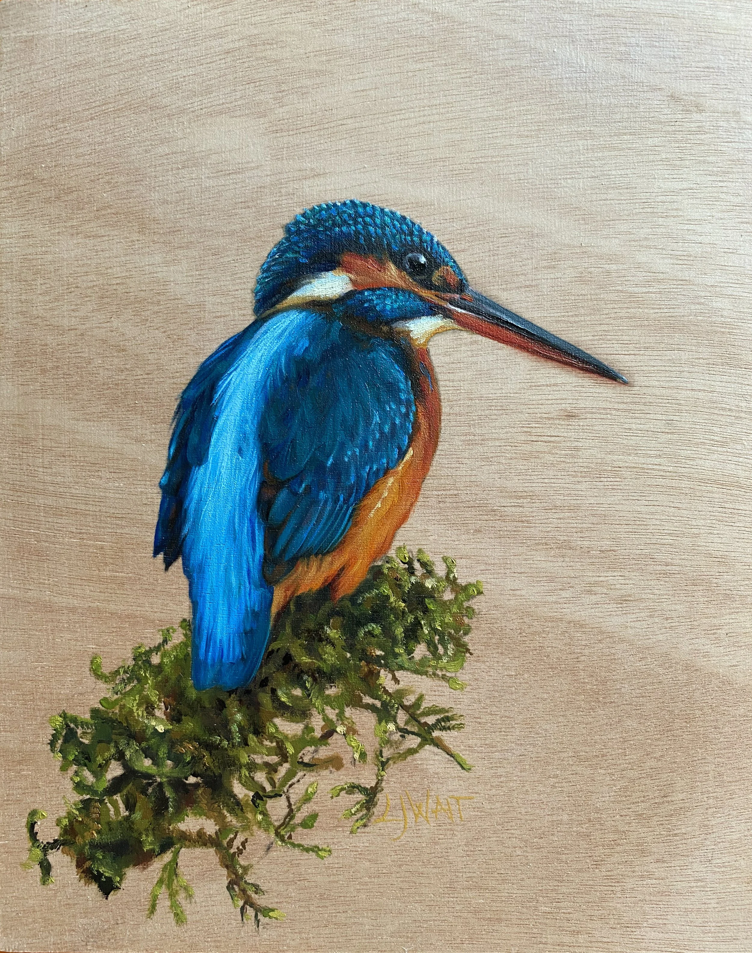Kingfisher -  Oil on wood panel 20x25cm Framed      £225 