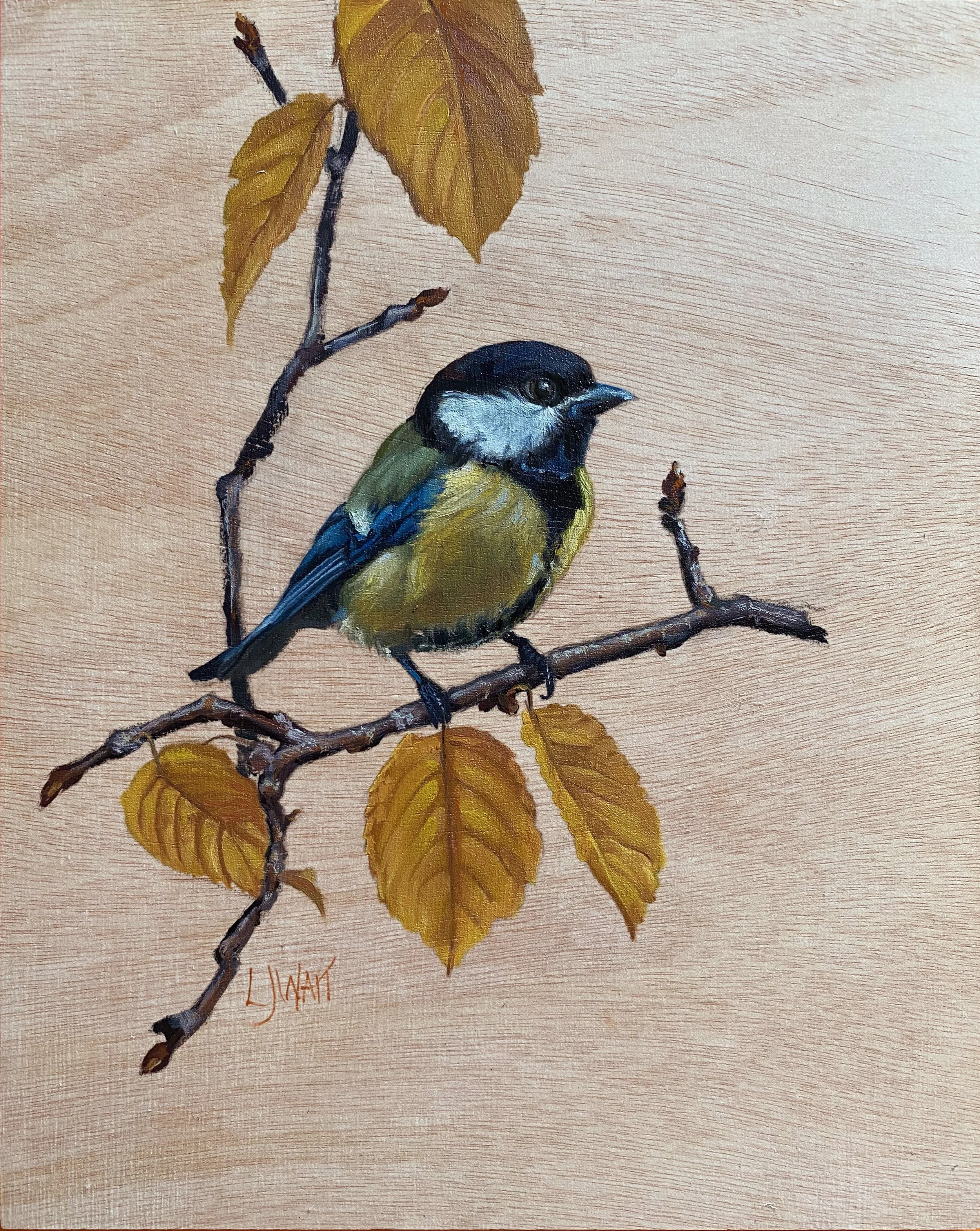 Great Tit in Autumn -  Oil on wood panel 20x25cm Framed      £225 