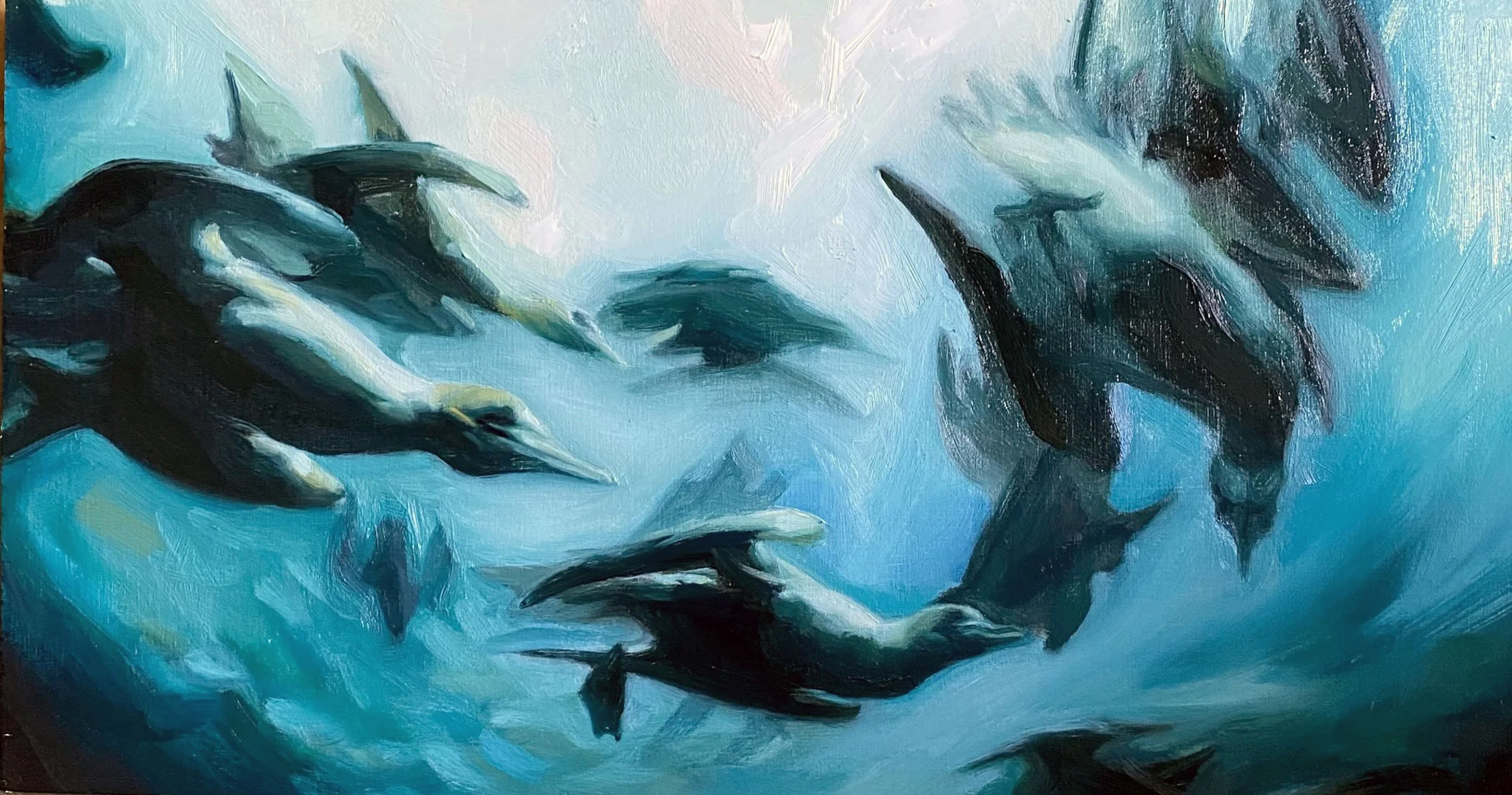 A Plunge of Gannets - Oil on panel 18x33cm     £400