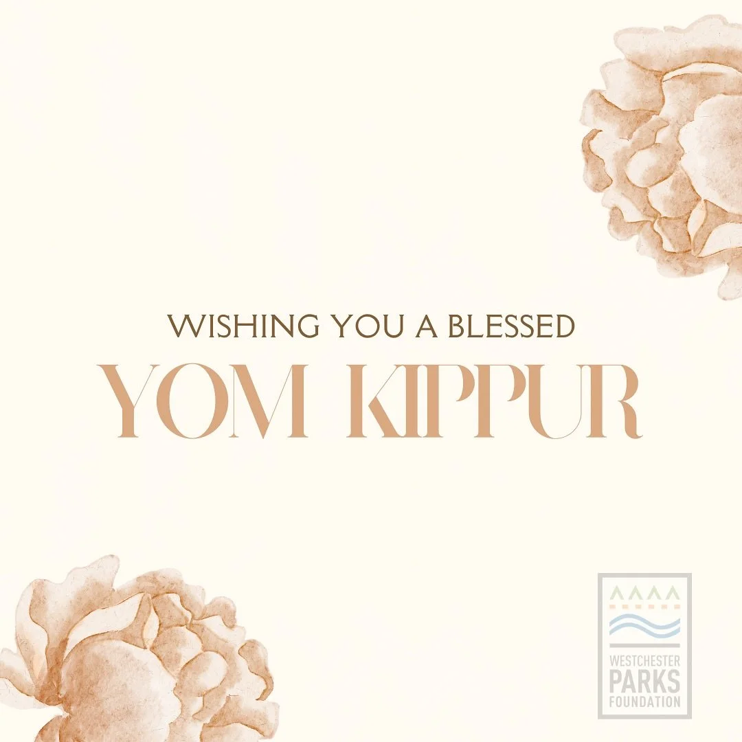 Wishing everyone observing Yom Kippur a peaceful and meaningful fast. May you find strength, clarity, and renewal. 🕊️