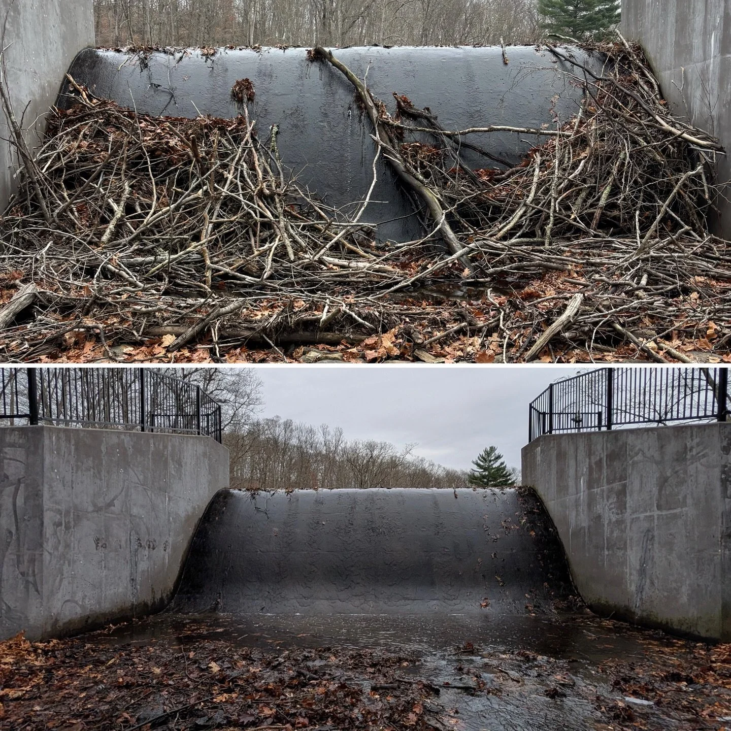 Before and after! 
👏 
Two awesome volunteers, Joe G. and JoAnn B. L, along with Megan and Joe F. from PRC, rolled up their sleeves to clear the spillway at Mountain Lakes Park the other day. They tied bundles of small debris, hauled them up the slop