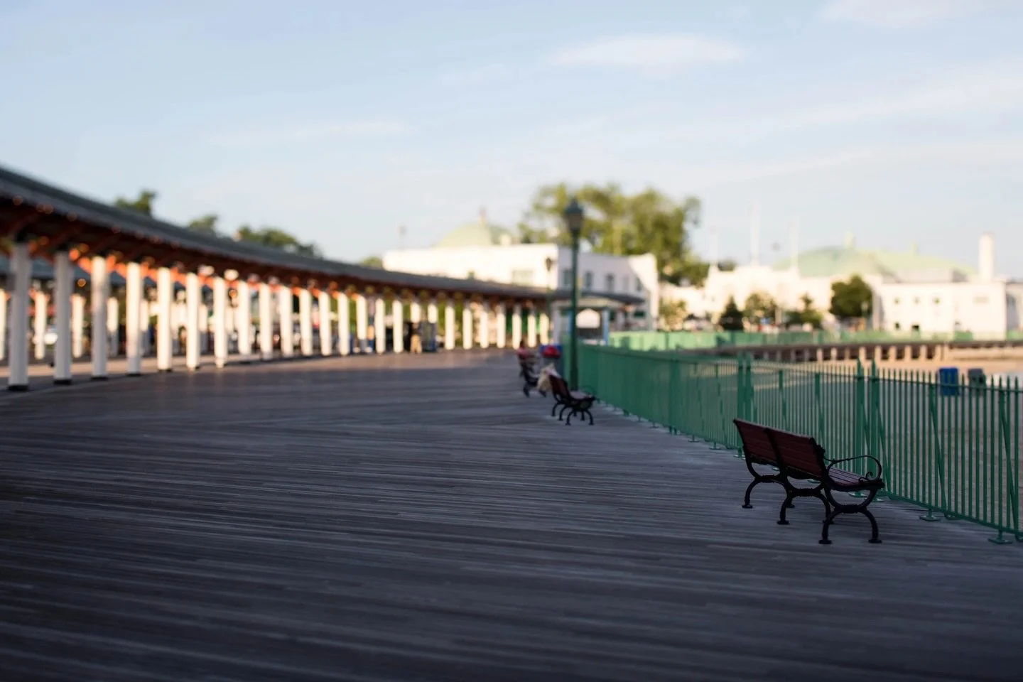 Pay tribute to someone you love, commemorate an event, or celebrate a friend or family member through the gift of a tree or bench in their honor. By making a donation to our Tree
Trust and Memorial Bench Program, you are not only supporting the WPF, 