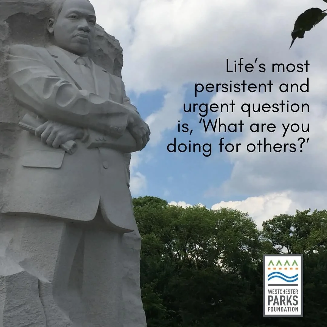 Today, we celebrate the profound impact of Dr. Martin Luther King Jr., whose dedication to justice, equality, and peace continues to guide us. Let his words inspire our journey towards a more united world.
.
.
.
#drking #martinlutherking #mlkday #mlk