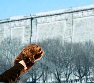 You didn&rsquo;t really think we weren&rsquo;t getting six more weeks of winter did you? 
.
.
.
#groundhogday #winter #thewpf