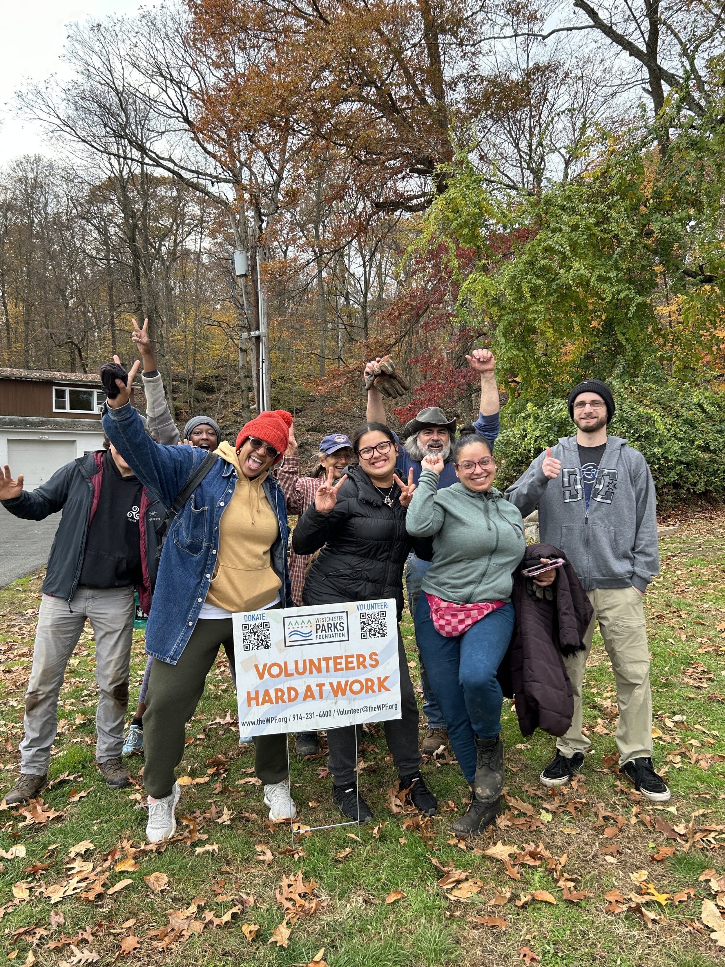Invasive Plant Management at Croton Point Park