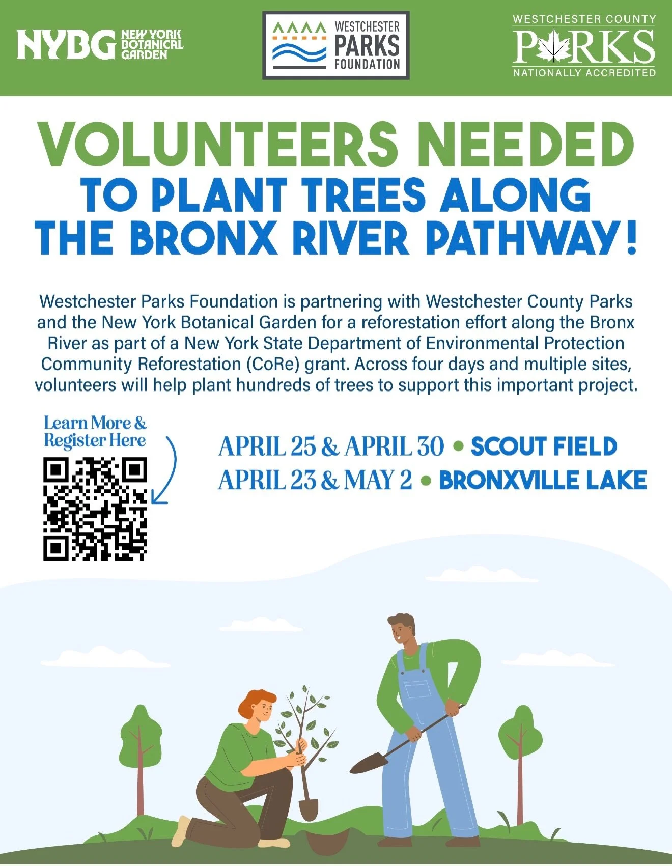 Join the reforestation effort along the Bronx River Pathway! Volunteers are needed to plant trees at Scout Field on April 25 and April 30, and at Bronxville Lake on April 23 and May 2. This initiative is part of a collaboration between Westchester Pa