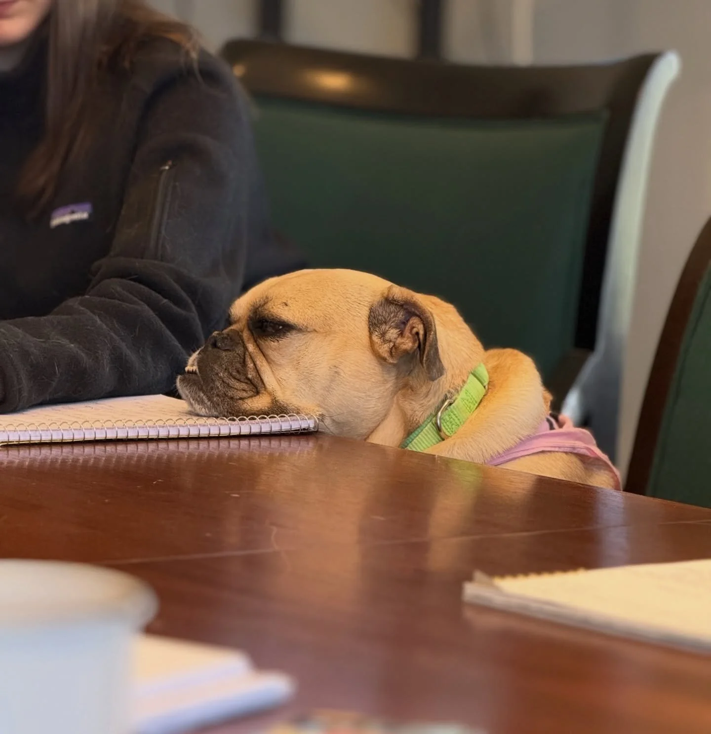 When you work Pitch in for Parks all day and you have to attend an early staff meeting&hellip;
