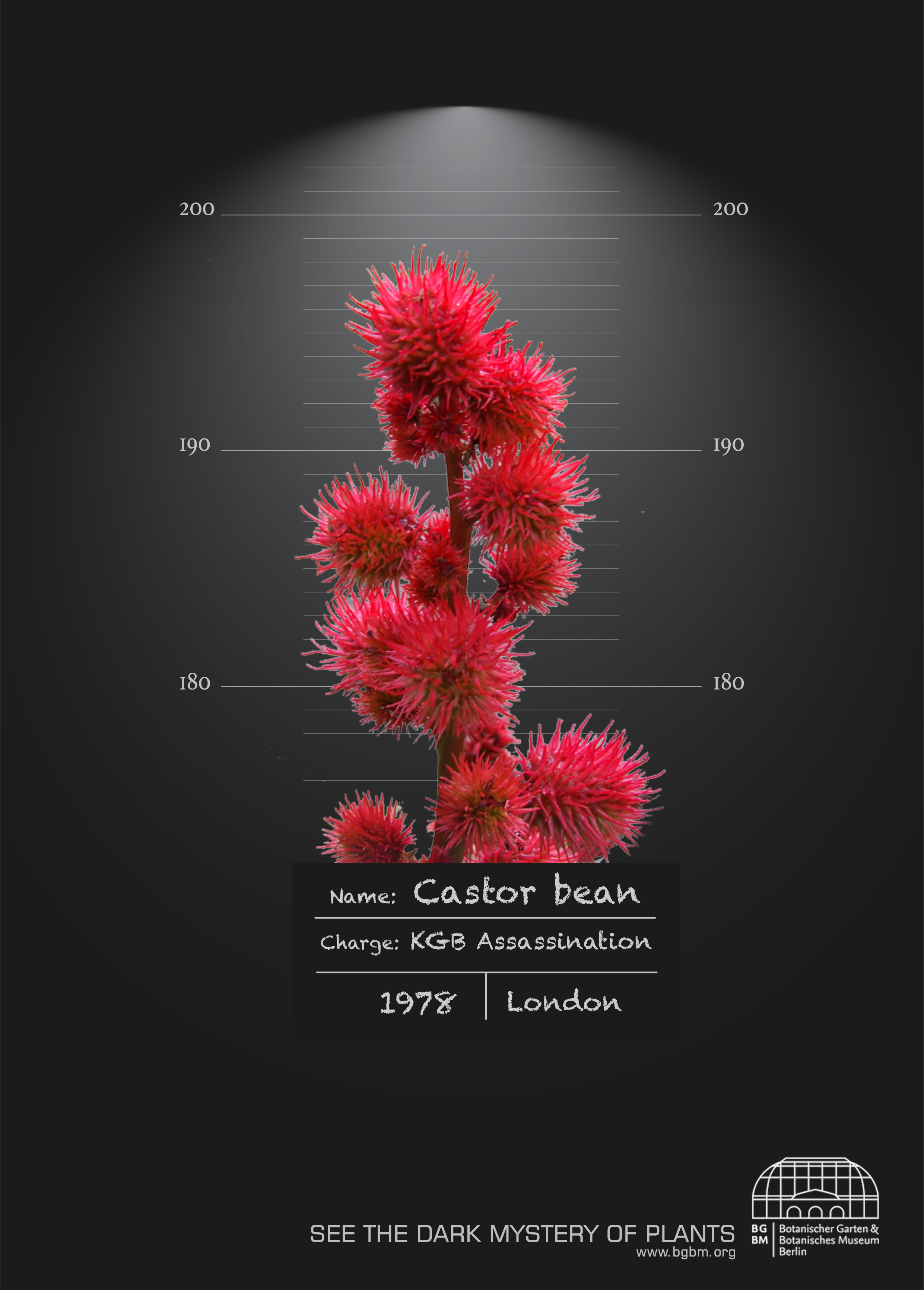Castor-bean.png