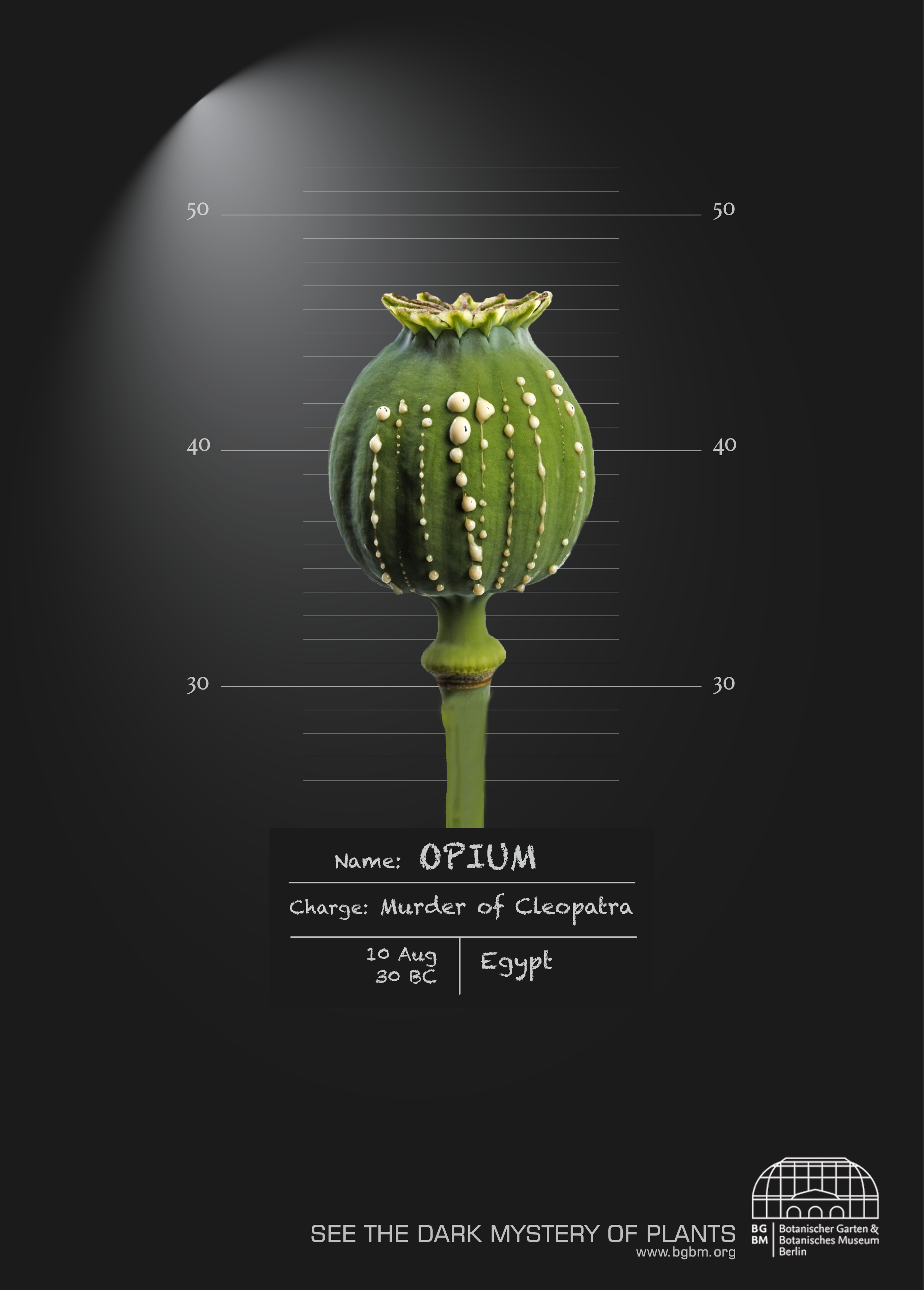 Opium.png