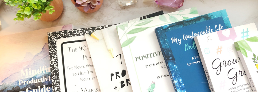 Sarah Steckler Plan Publish
