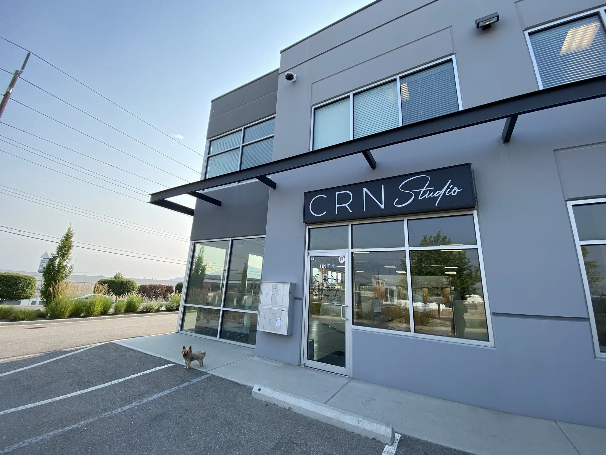 Exterior view of CRN Studio building with a glass entrance door, large window, and a parking lot with a small dog near the sidewalk.