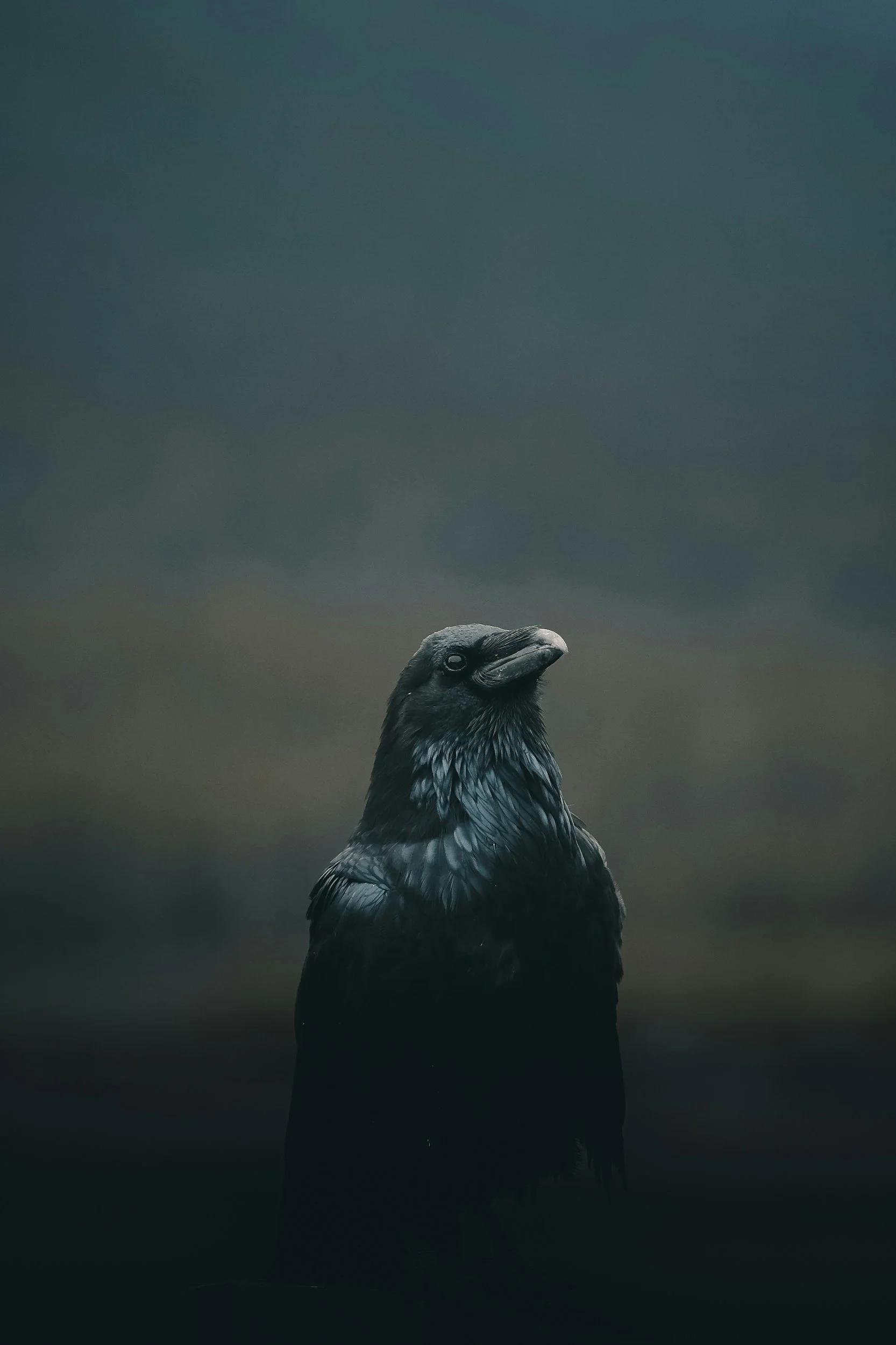 An Evening with Edgar Allan Poe