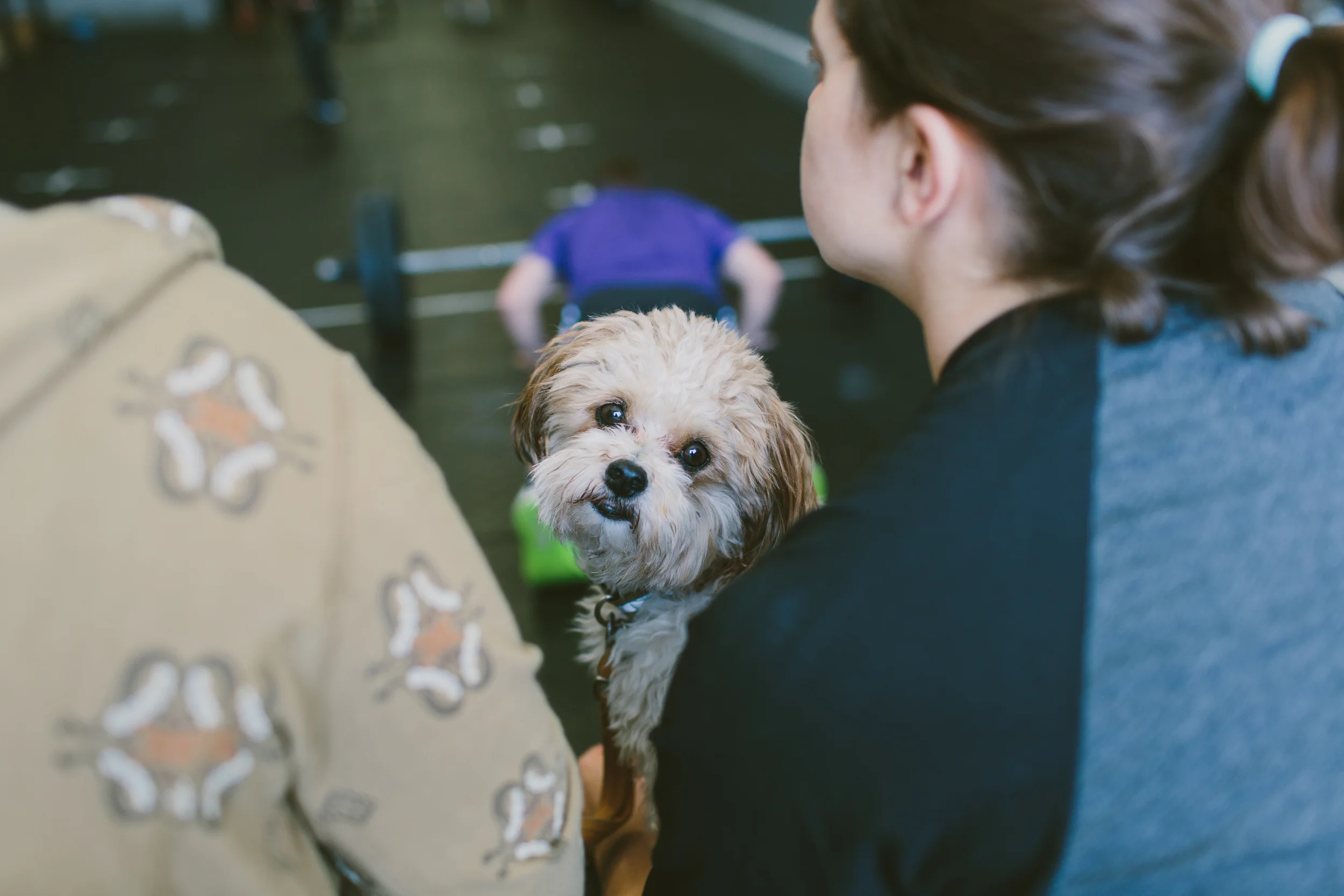 16.2 Thoughts and Strategy